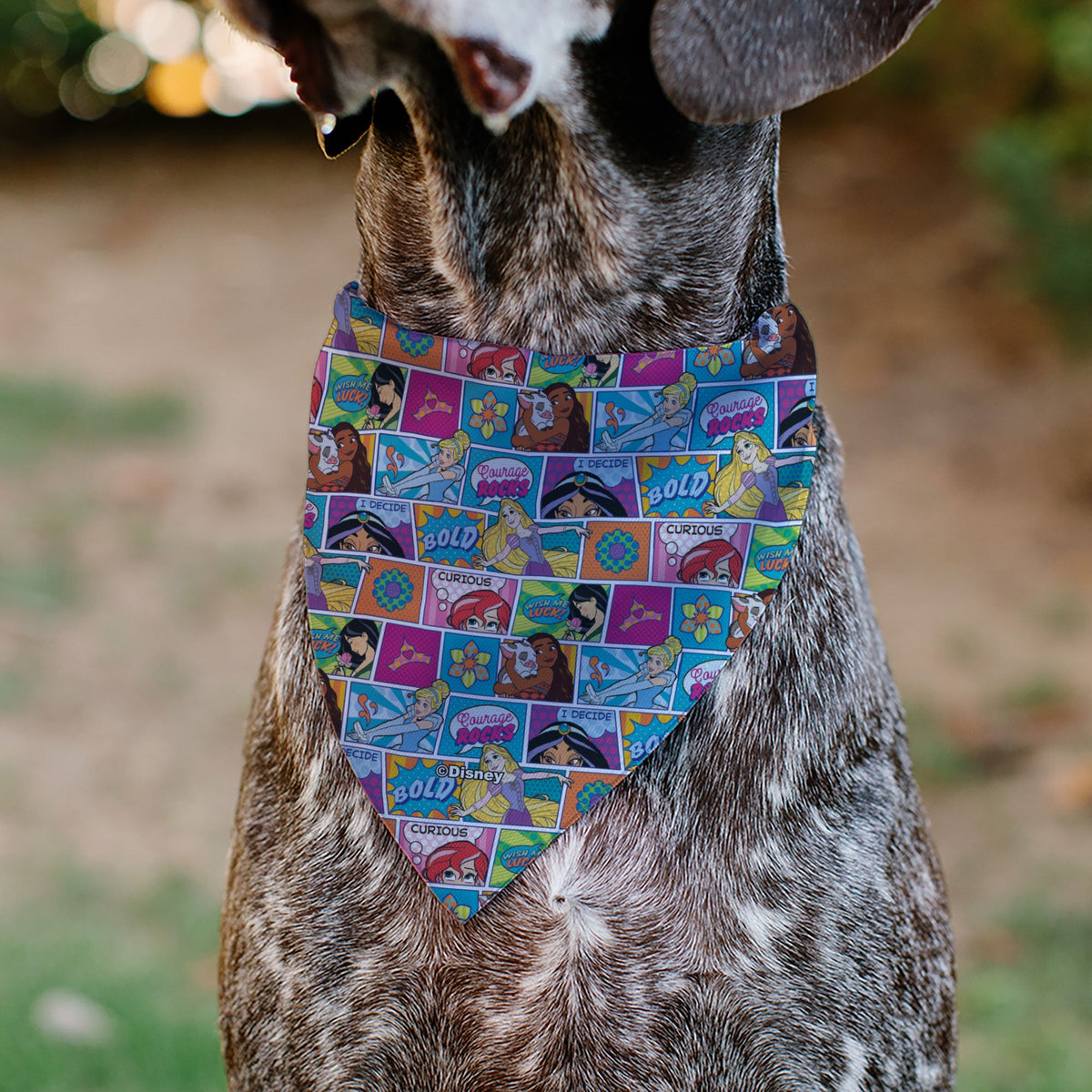 Pet Bandana - Disney Princess Pose and Quote Pop Art Blocks Multi Color | HT Animal Supply