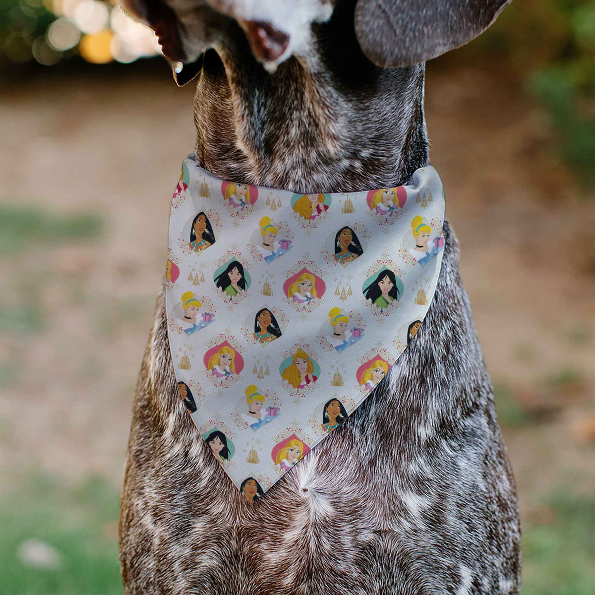 Pet Bandana - Disney Holiday Princess Poses and Icons Beige/Tan/Red