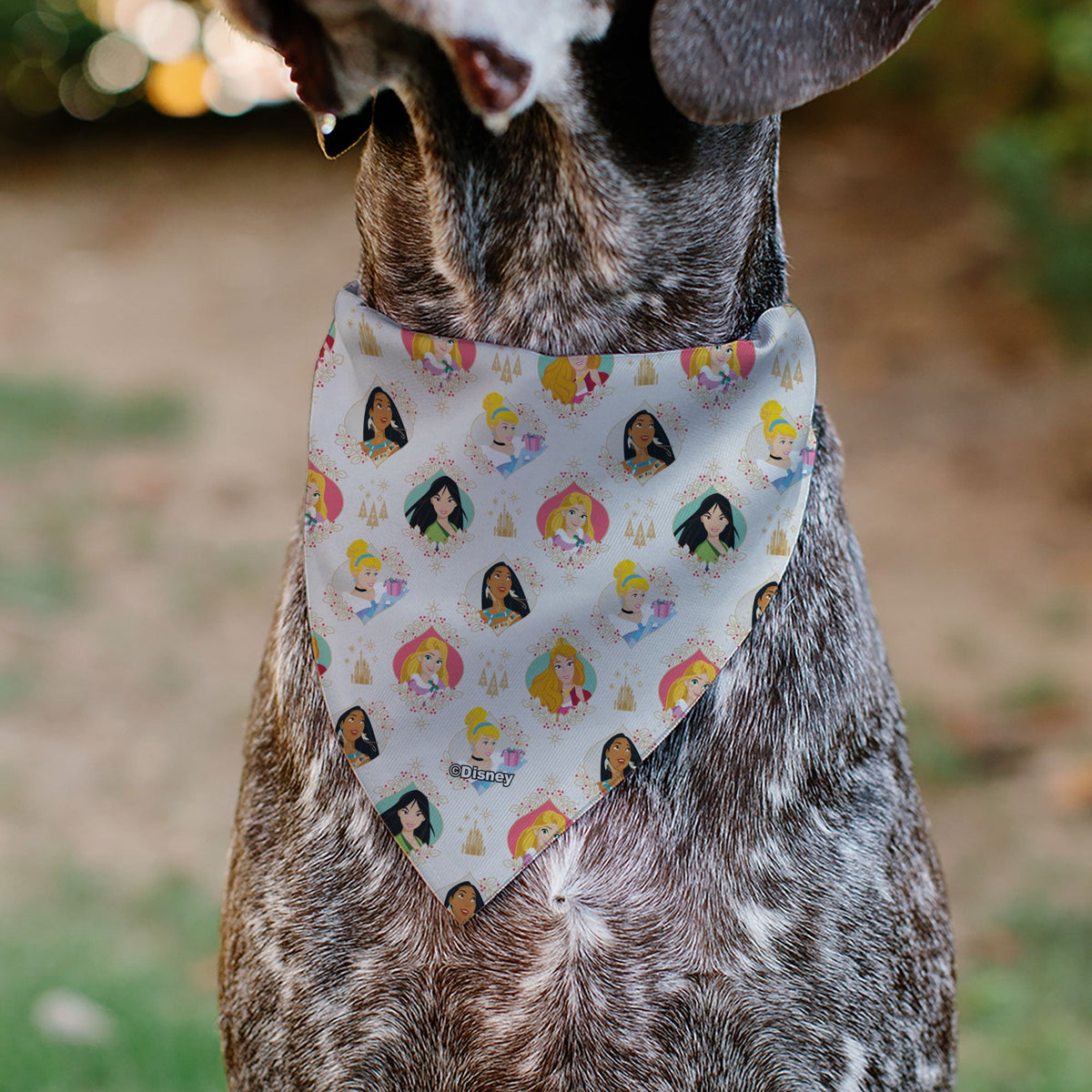 Pet Bandana - Disney Holiday Princess Poses and Icons Beige/Tan/Red | HT Animal Supply