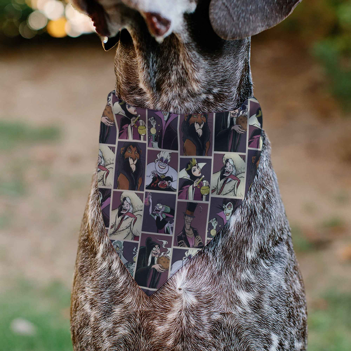 Pet Bandana - Disney Villains Pose Blocks