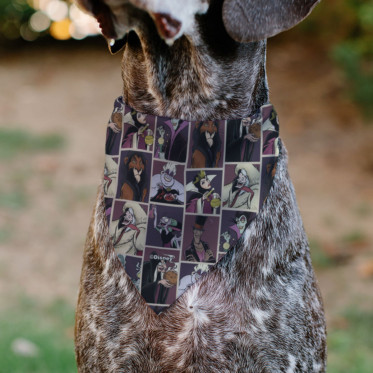 Pet Bandana - Disney Villains Pose Blocks | HT Animal Supply