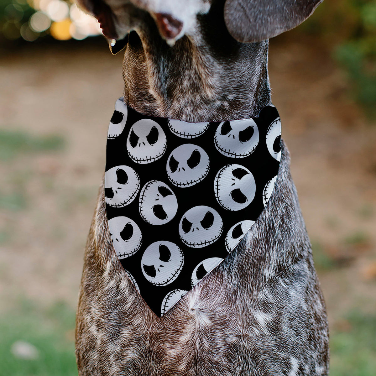 Pet Bandana - The Nightmare Before Christmas Jack Expressions Scattered Black/White 