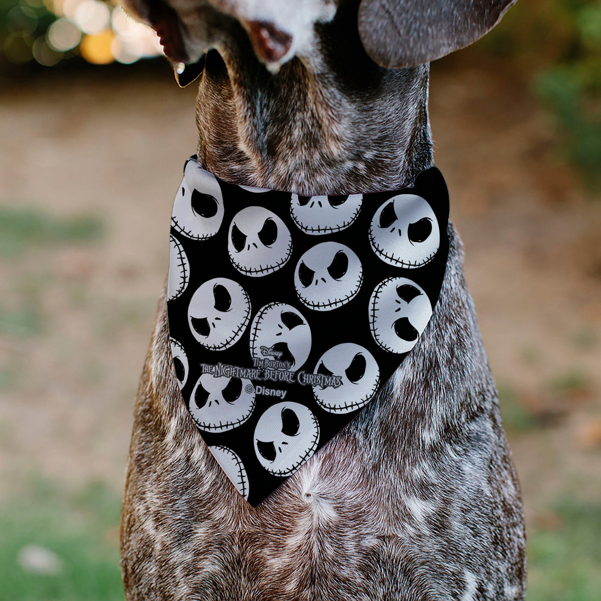 Pet Bandana - The Nightmare Before Christmas Jack Expressions Scattered Black/White 