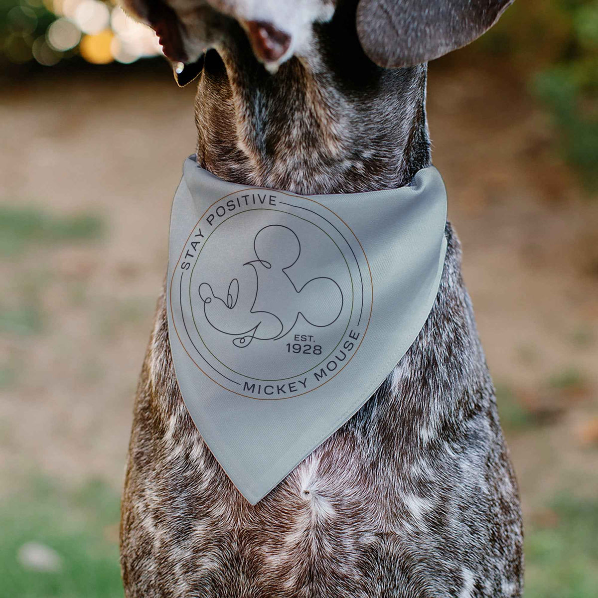 Pet Bandana - Mickey Mouse STAY POSITIVE Line White/Multi Color