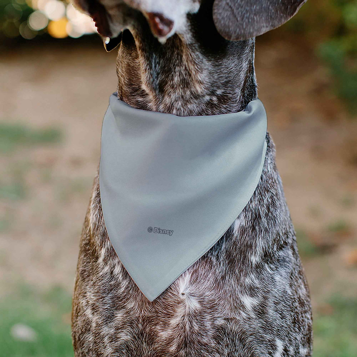 Pet Bandana - Mickey Mouse STAY POSITIVE Line White/Multi Color