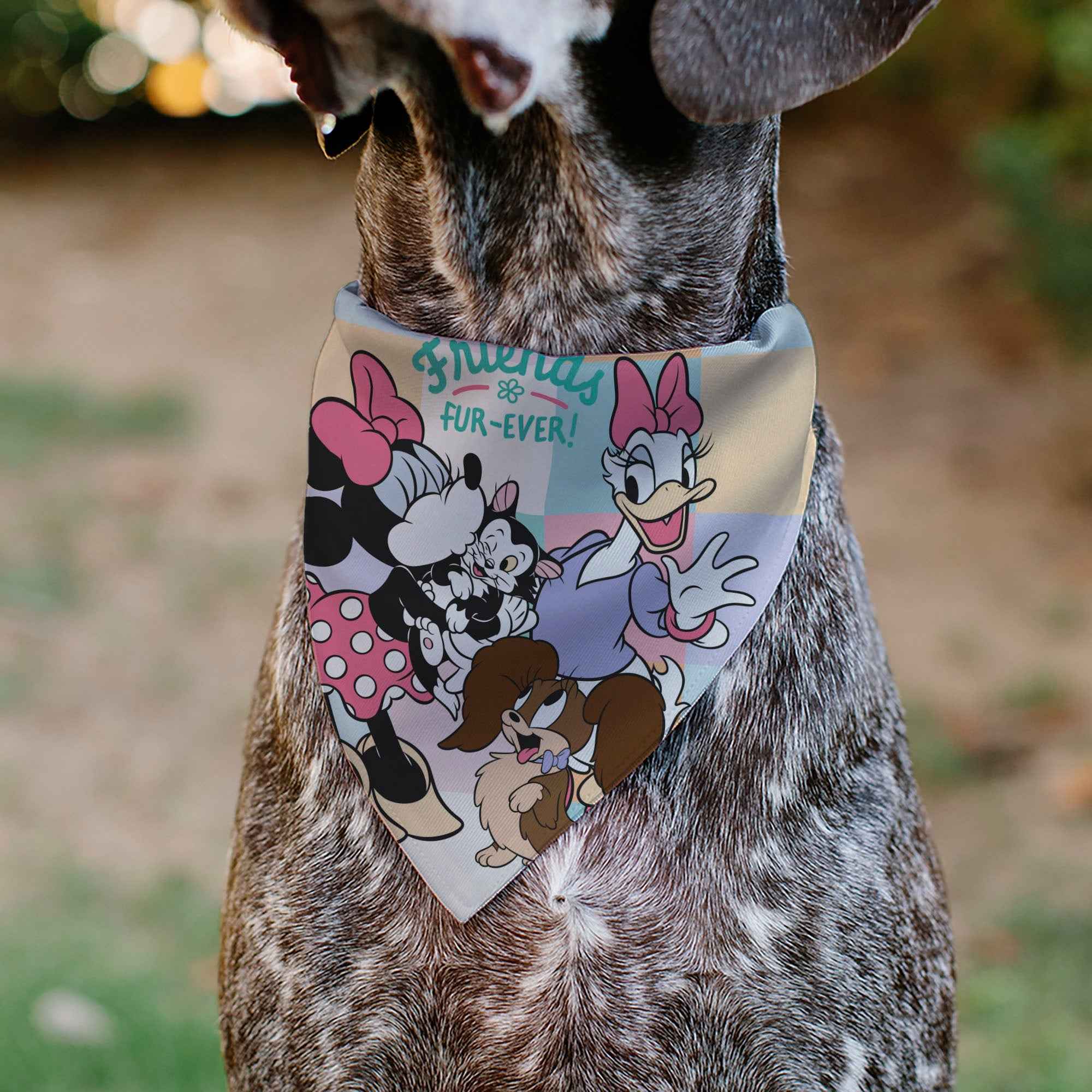 Pet Bandana - Minnie Mouse and Daisy Duck with Figaro and Fifi FRIENDS FUR-EVER Multi Color