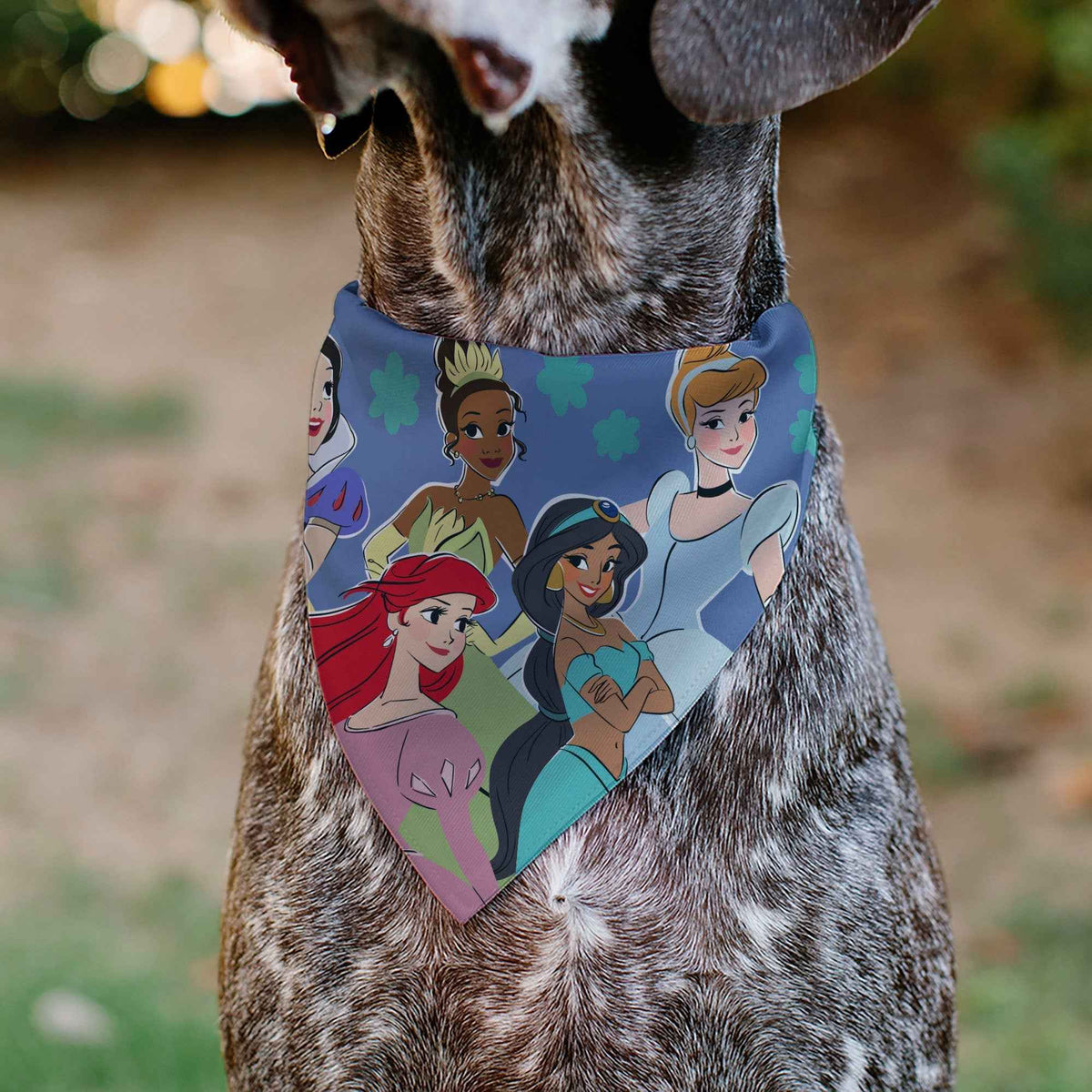 Pet Bandana - Disney Five Princesses Group Pose and Flowers Blues