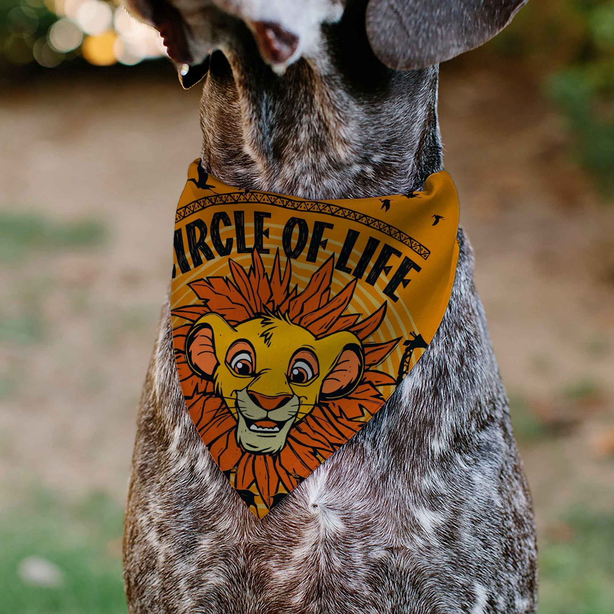 Buckle-Down The Lion King Young Simba Circle Of Life Pose Oranges/Black Over-the-Collar Dog Bandana