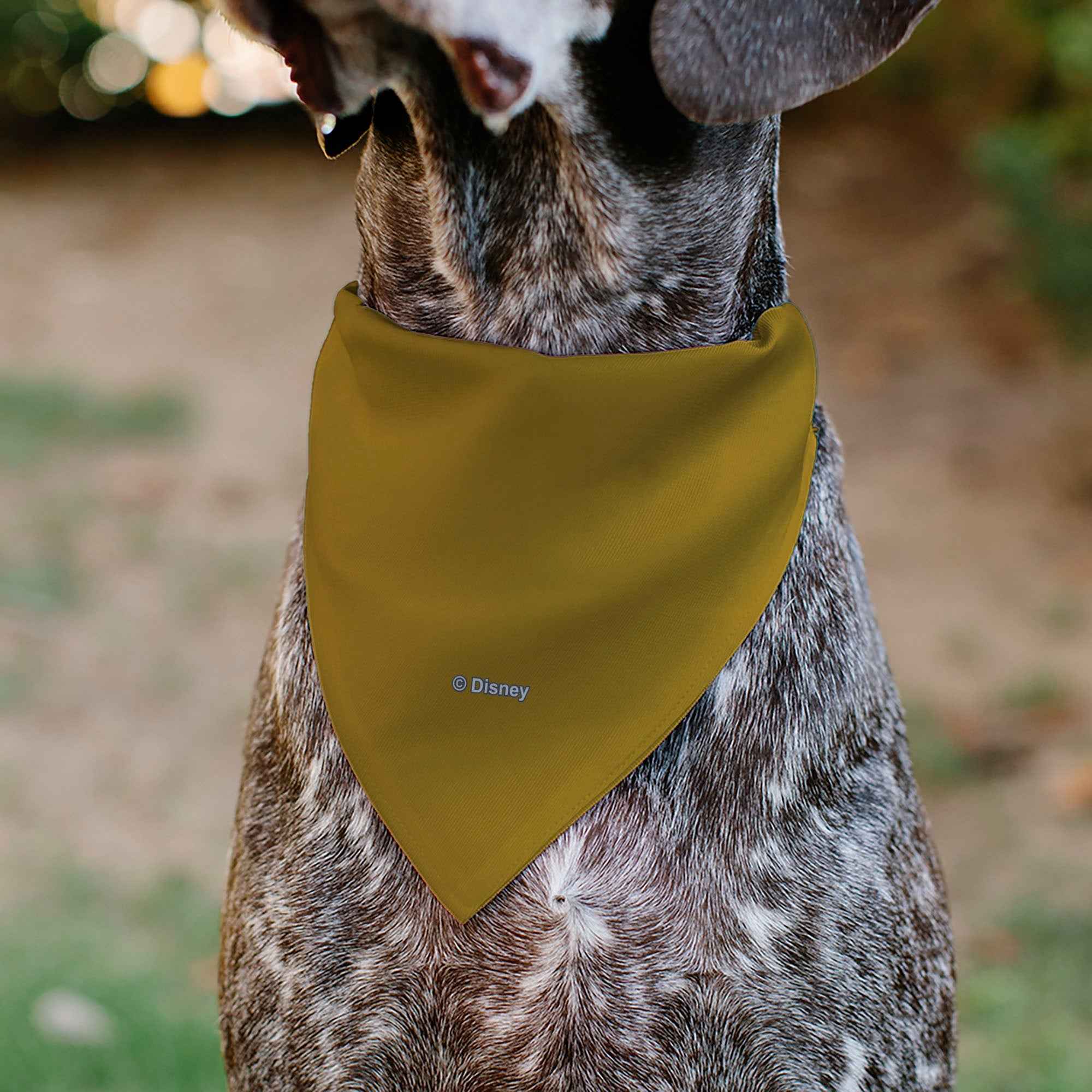 Pet Bandana - Lion King Young Simba Face Close-Up Orange