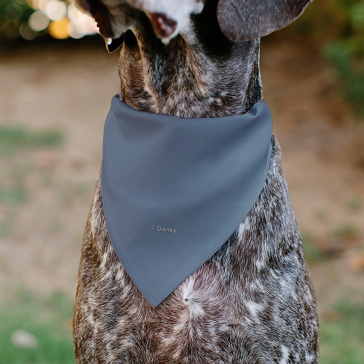 Pet Bandana - Lion King No Worries Silhouette Reflection Pose Blues/Pinks/Yellow | HT Animal Supply