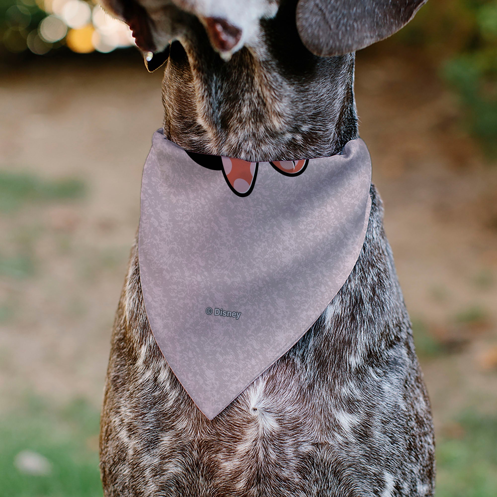 Pet Bandana - Minnie Mouse BE KIND Peace Pose Pinks 