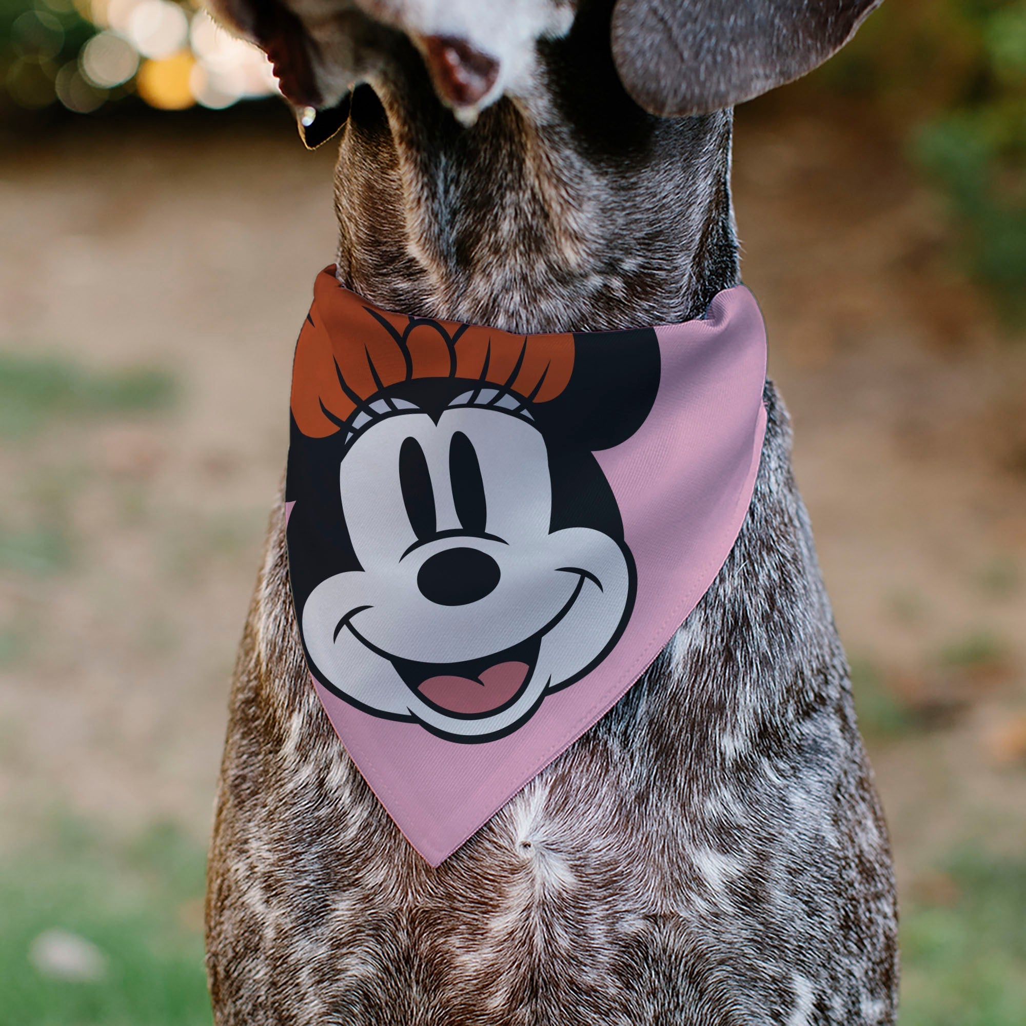 Pet Bandana - Minnie Mouse Smiling Face Close-Up Pink 