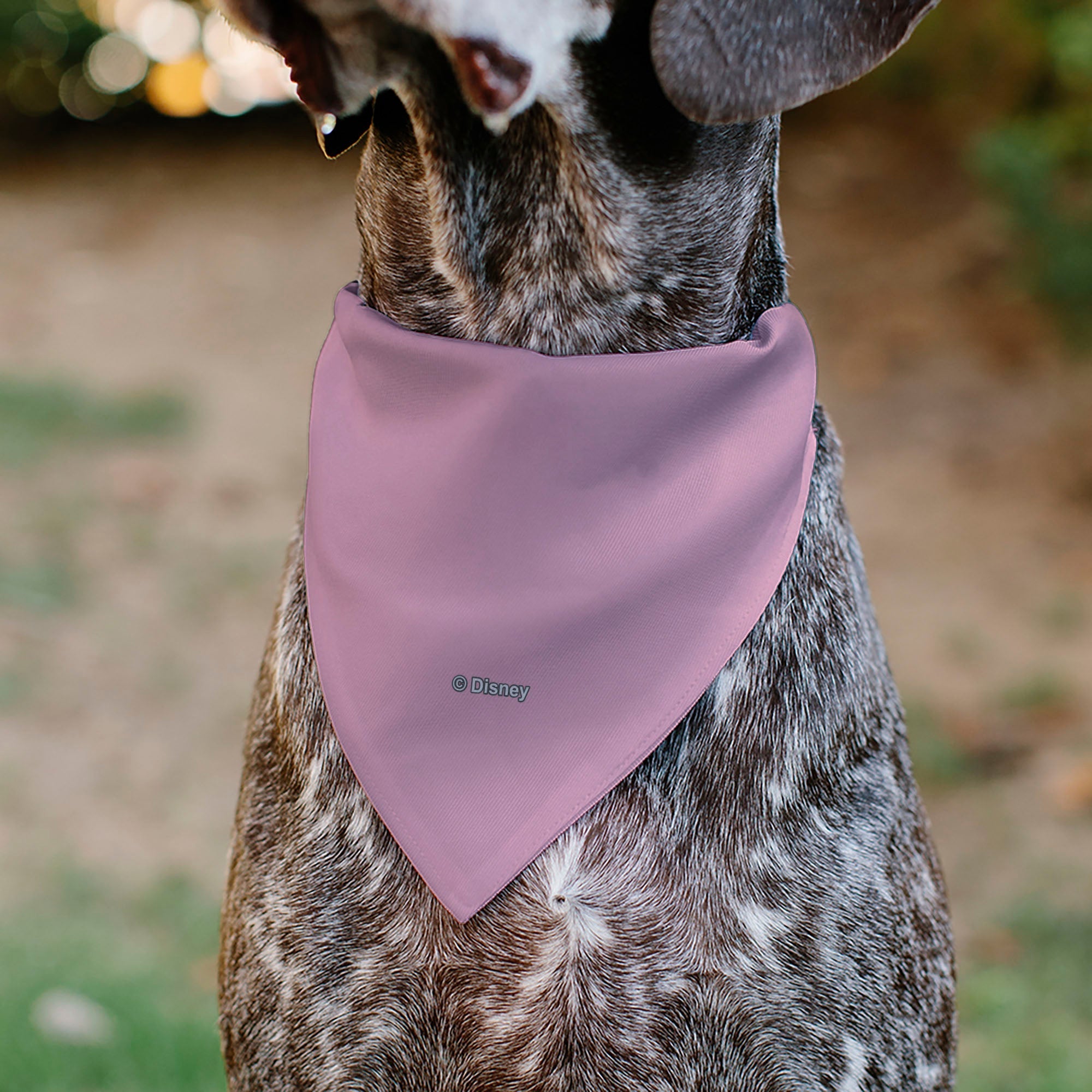 Pet Bandana - Minnie Mouse Smiling Face Close-Up Pink 