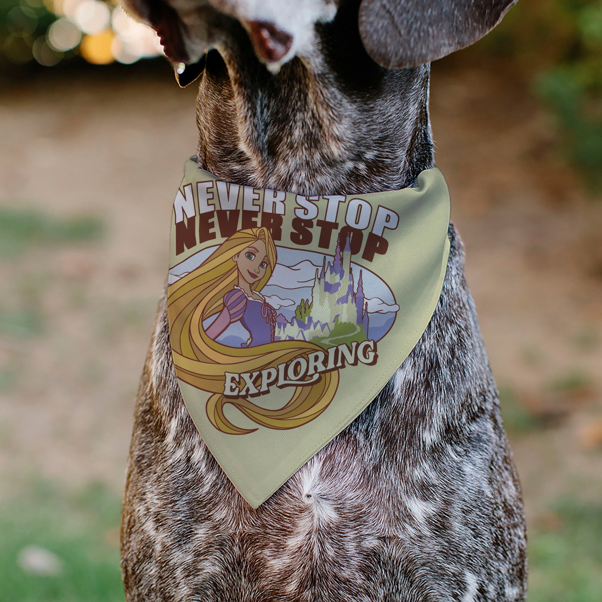 Pet Bandana - Rapunzel NEVER STOP EXPLORING Castle Pose Beige/Red/White 