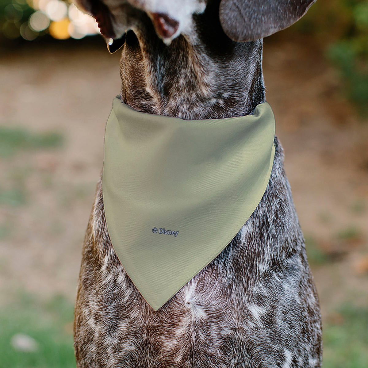 Pet Bandana - Rapunzel NEVER STOP EXPLORING Castle Pose Beige/Red/White 