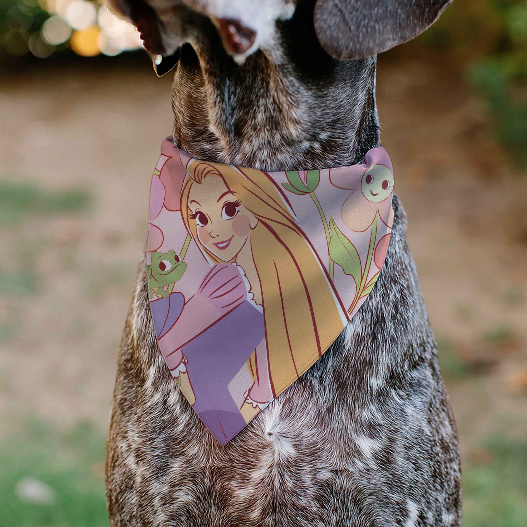 Buckle-Down Tangled Rapunzel and Pascal Flowers Pose Pinks Over-the-Collar Dog Bandana