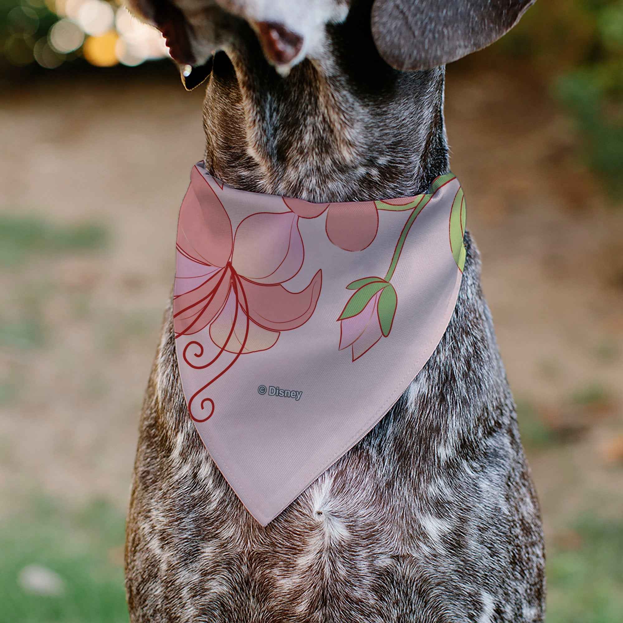 Buckle-Down Tangled Rapunzel and Pascal Flowers Pose Pinks Over-the-Collar Dog Bandana
