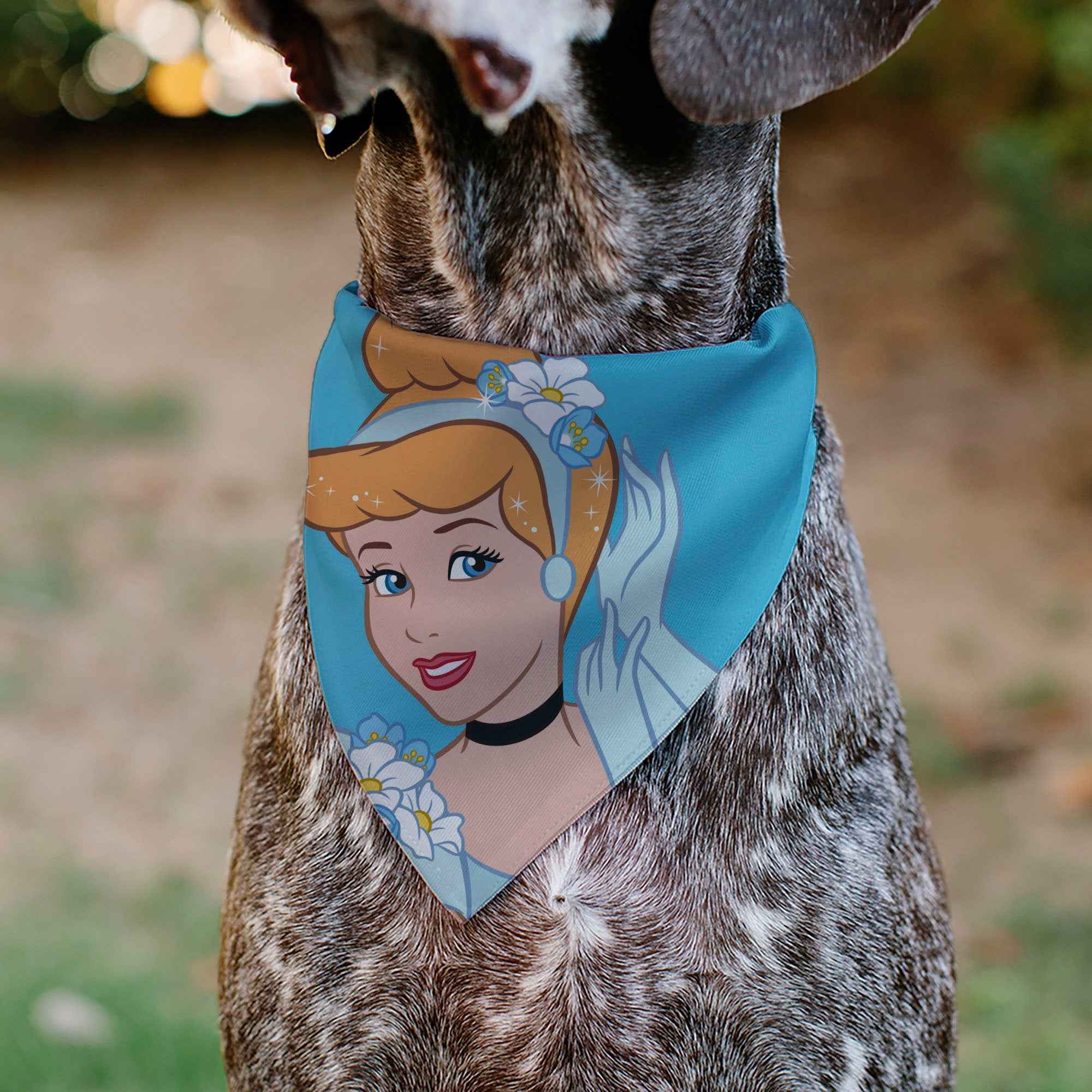 Buckle-Down Cinderella Face Pose Close-Up Blues Over-the-Collar Dog Bandana