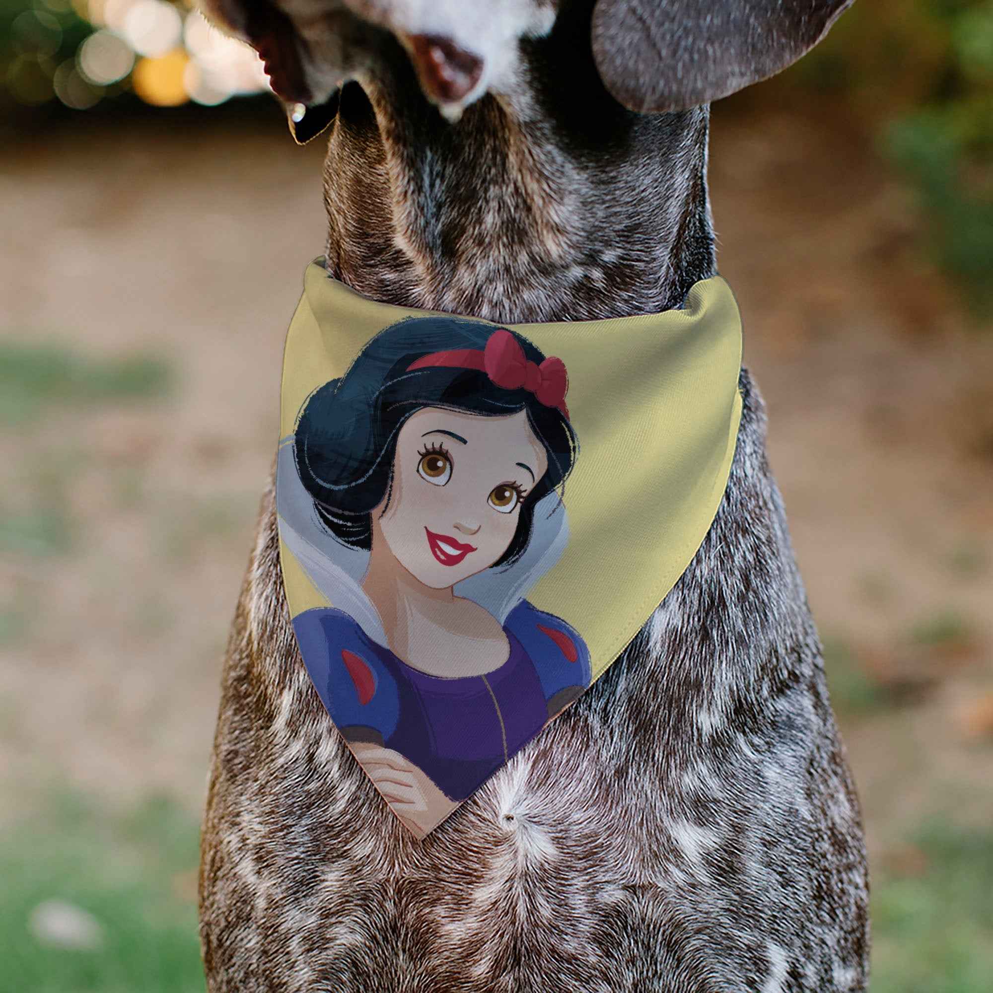 Buckle-Down Snow White Smiling Face Pose Yellow Over-the-Collar Dog Bandana