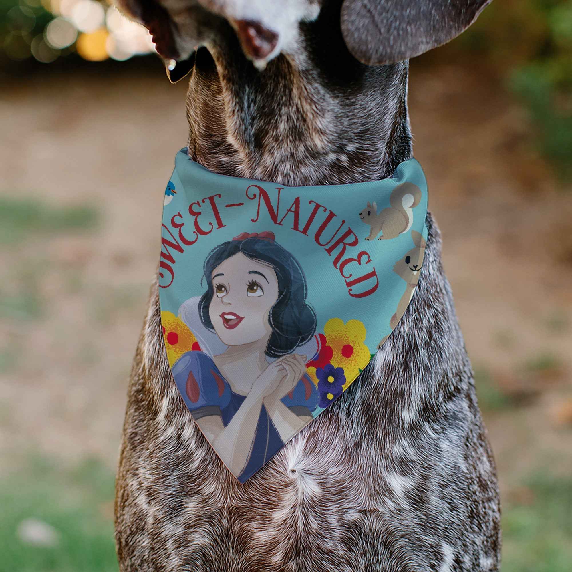 Buckle-Down Snow White Sweet Natured Pose Blue Over-the-Collar Dog Bandana