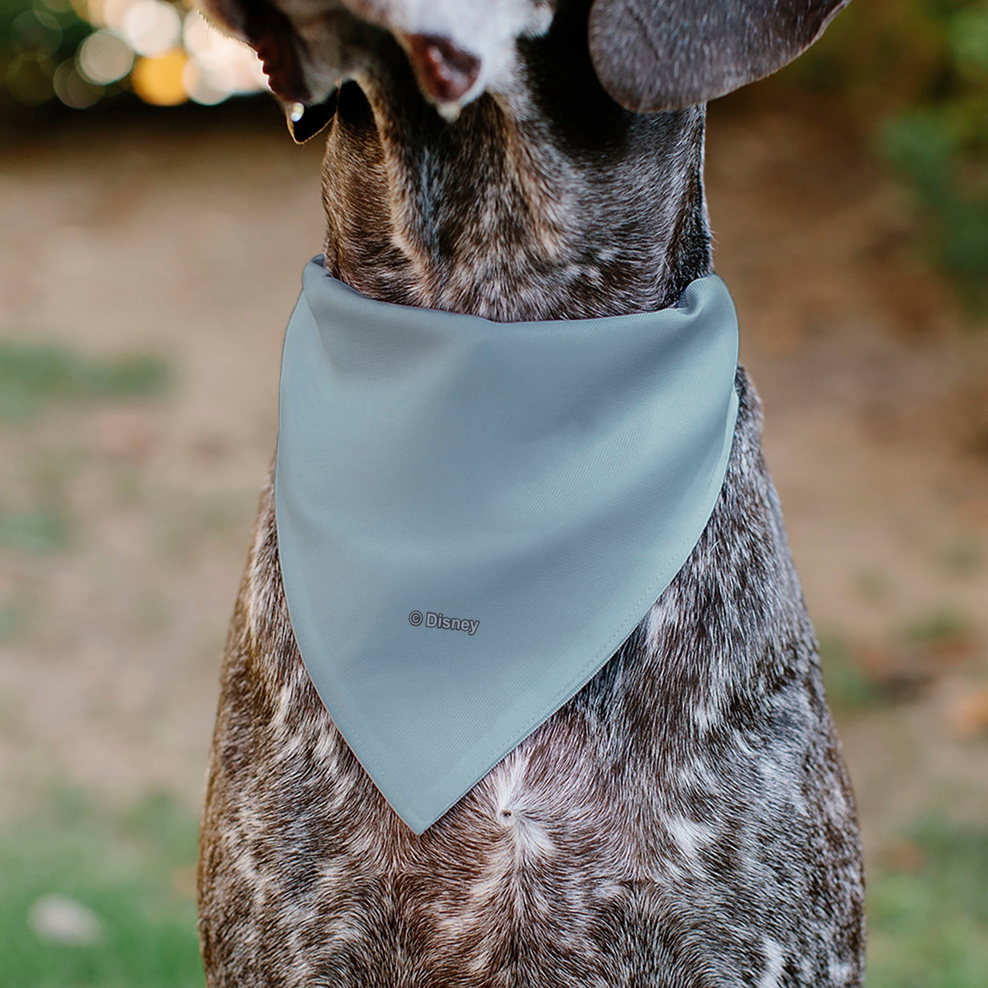 Pet Bandana - The Little Mermaid Ariel Face Close-Up Light Blue 
