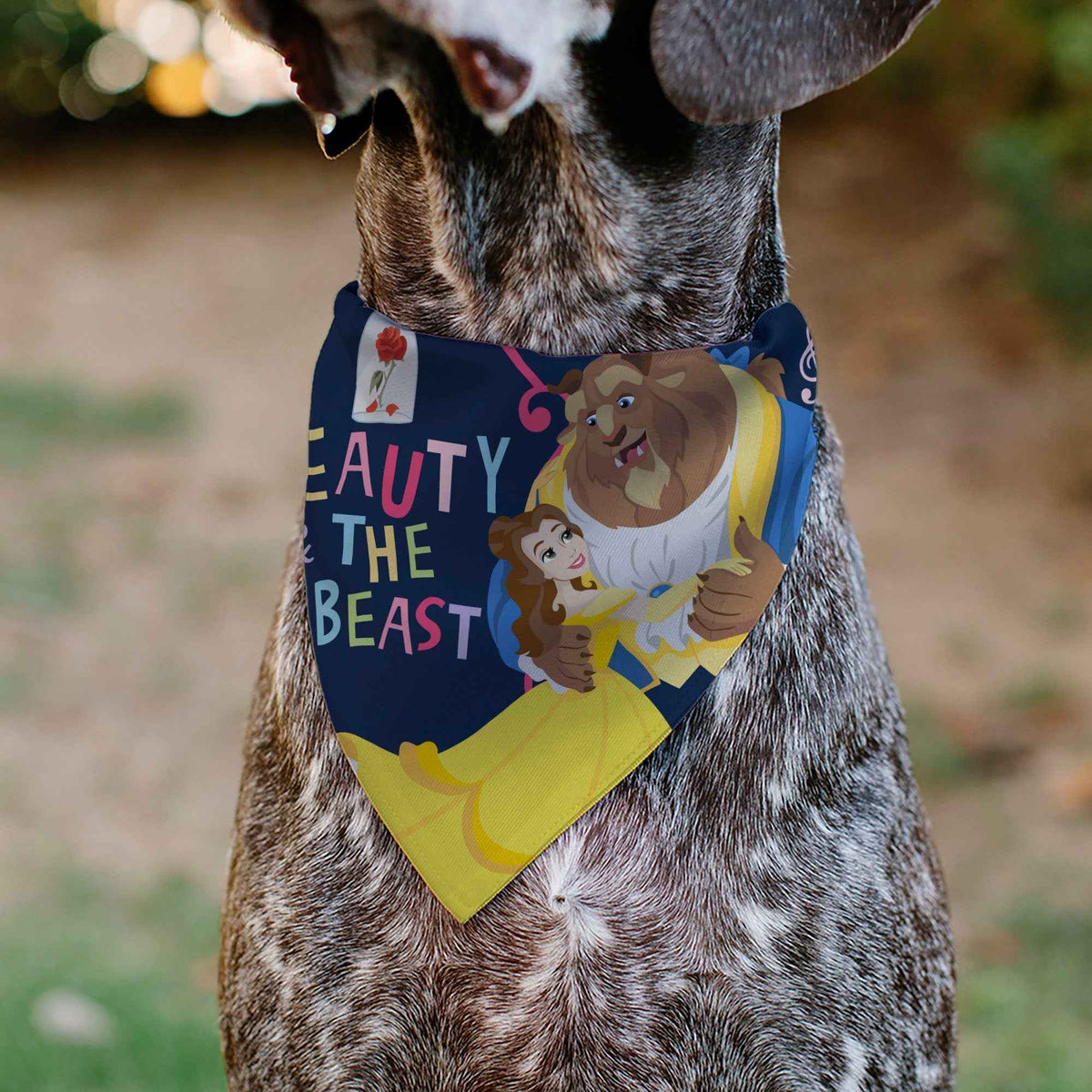 Pet Bandana - BEAUTY & THE BEAST Belle and Beast Dancing Pose Blue/Multi Color