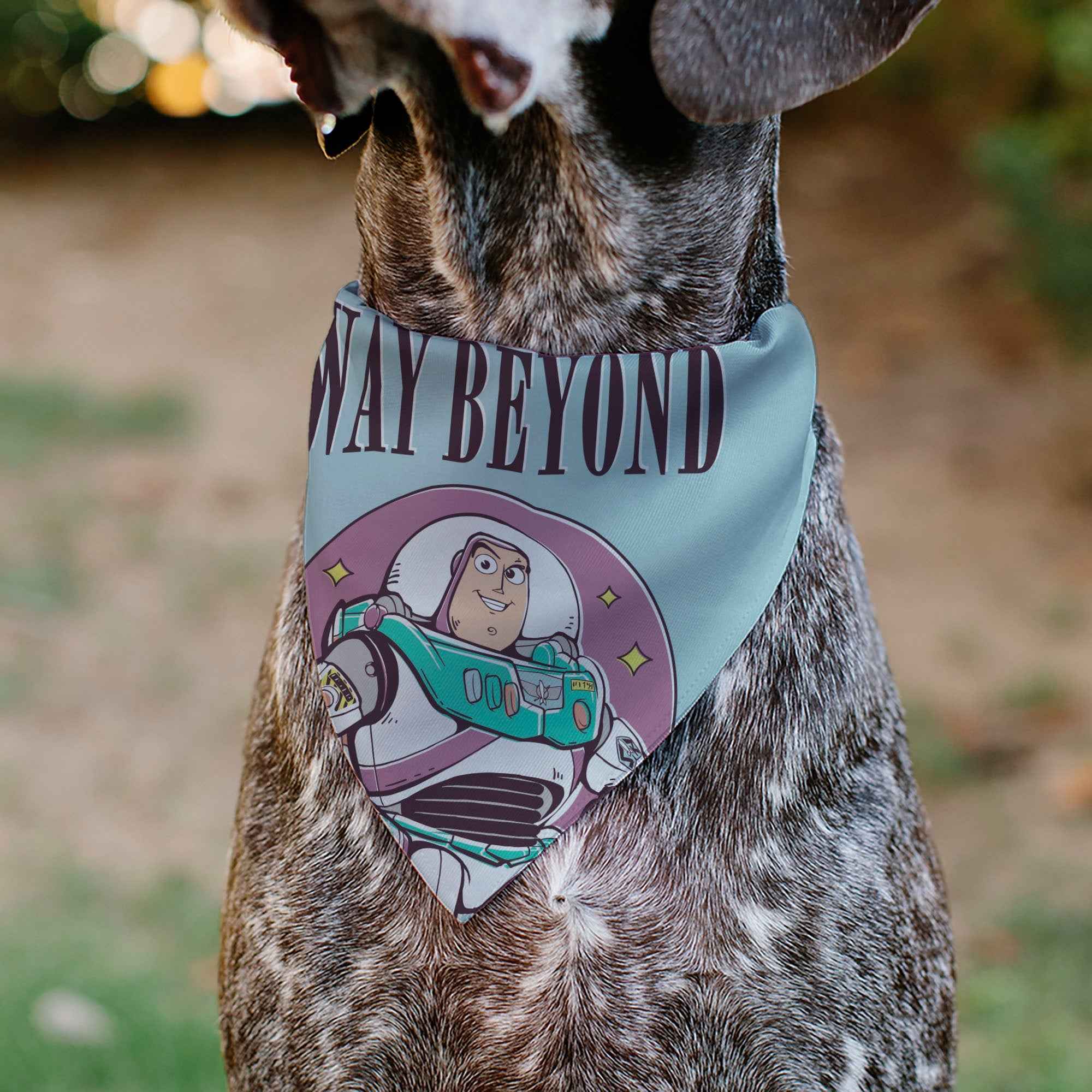 Buckle-Down Toy Story Buzz Lightyear Way Beyond Pose Light Blue Over-the-Collar Dog Bandana