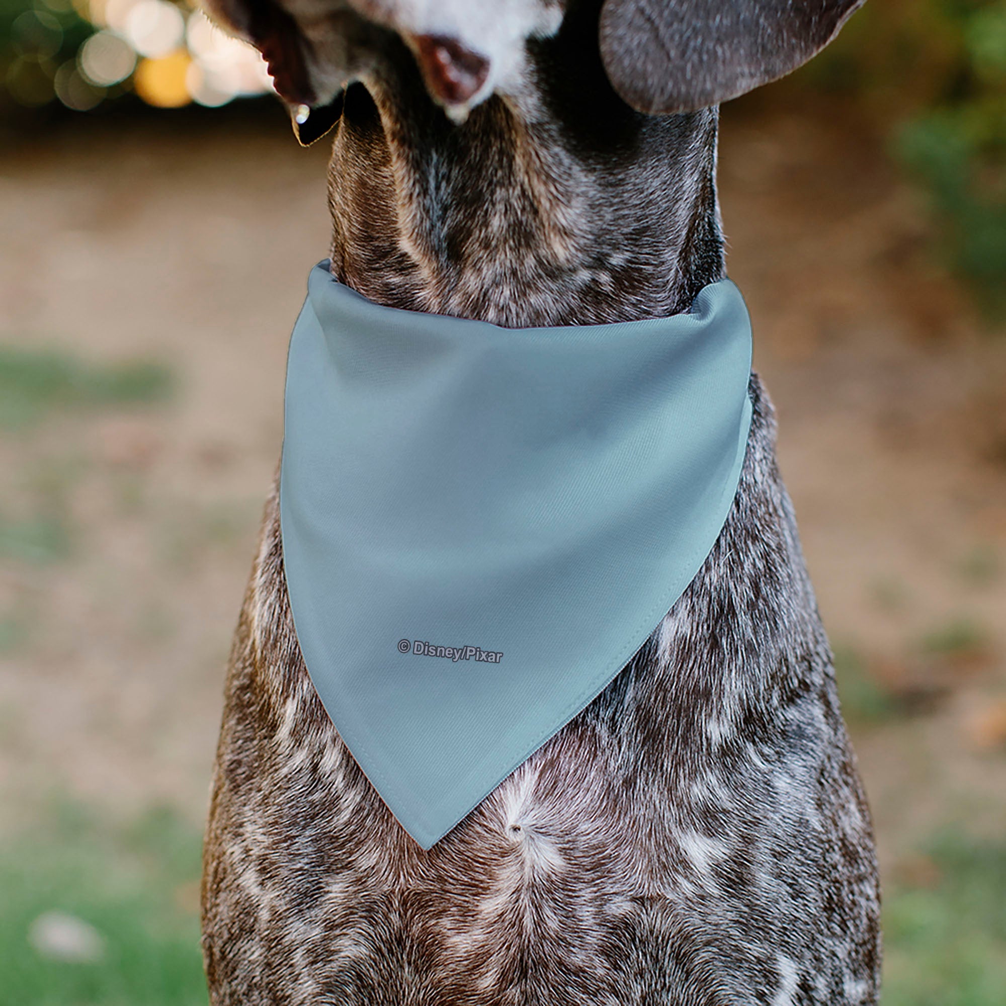 Buckle-Down Toy Story Buzz Lightyear Way Beyond Pose Light Blue Over-the-Collar Dog Bandana