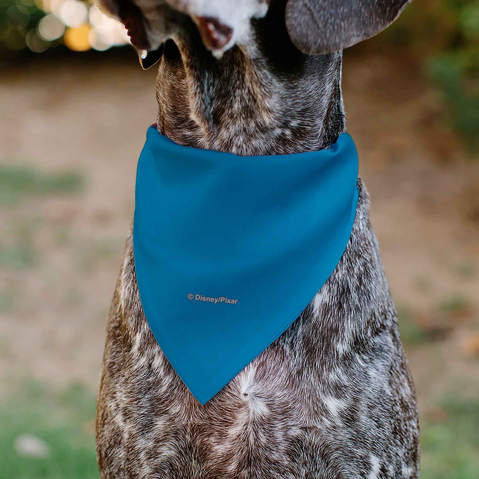 Buckle-Down Toy Story Bo Peep Close-Up Pop Art Face Blue Over-the-Collar Dog Bandana