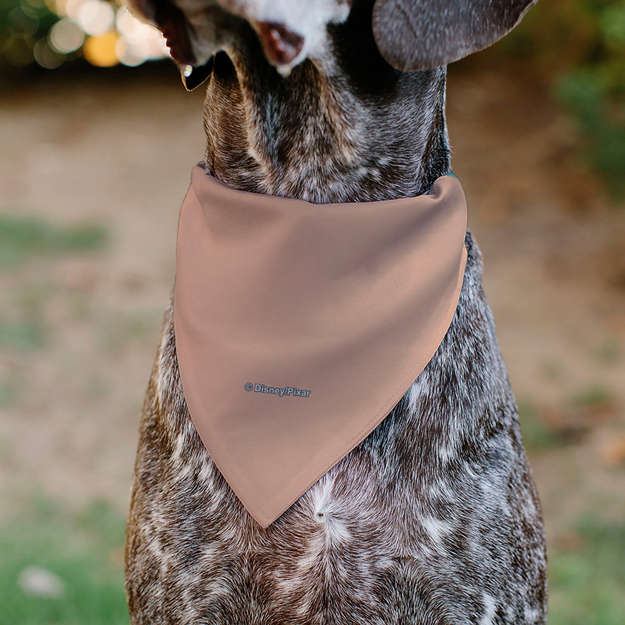 Buckle-Down Toy Story Bo Peep Leadership Goals Staff Pose Pink/Blue/White Over-the-Collar Dog Bandana