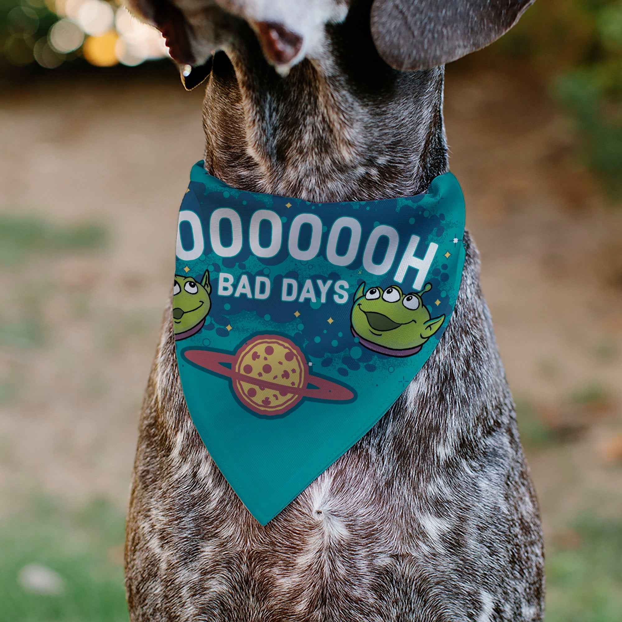 Buckle-Down Toy Story Aliens Noh Bad Days Pizza Planet Pose Blues Over-the-Collar Dog Bandana
