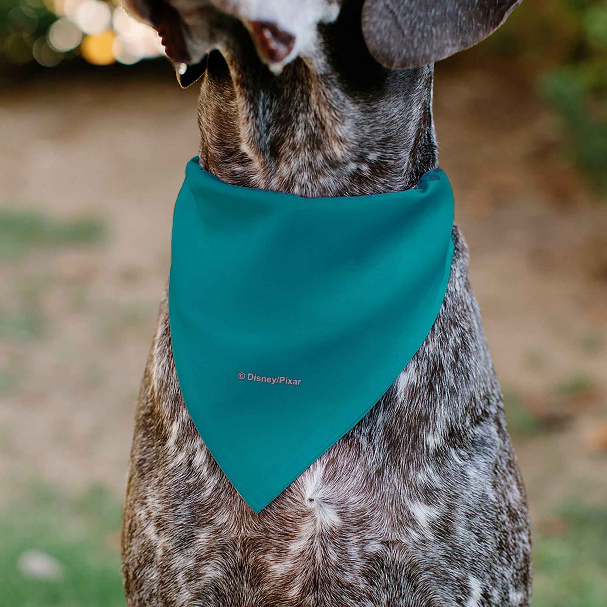 Buckle-Down Toy Story Aliens Noh Bad Days Pizza Planet Pose Blues Over-the-Collar Dog Bandana