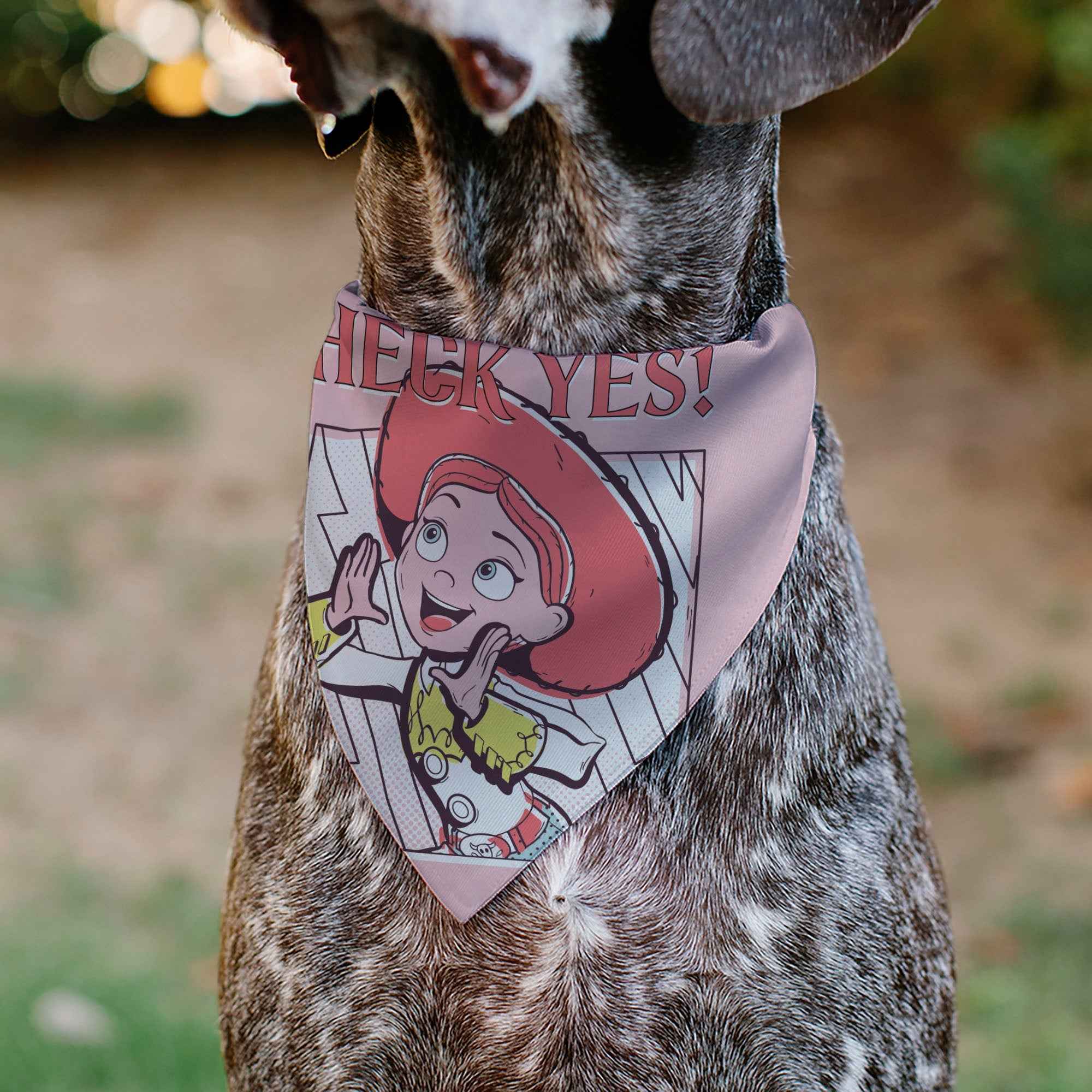 Buckle-Down Toy Story Jessie Heck Yes! Pose Pinks Over-the-Collar Dog Bandana