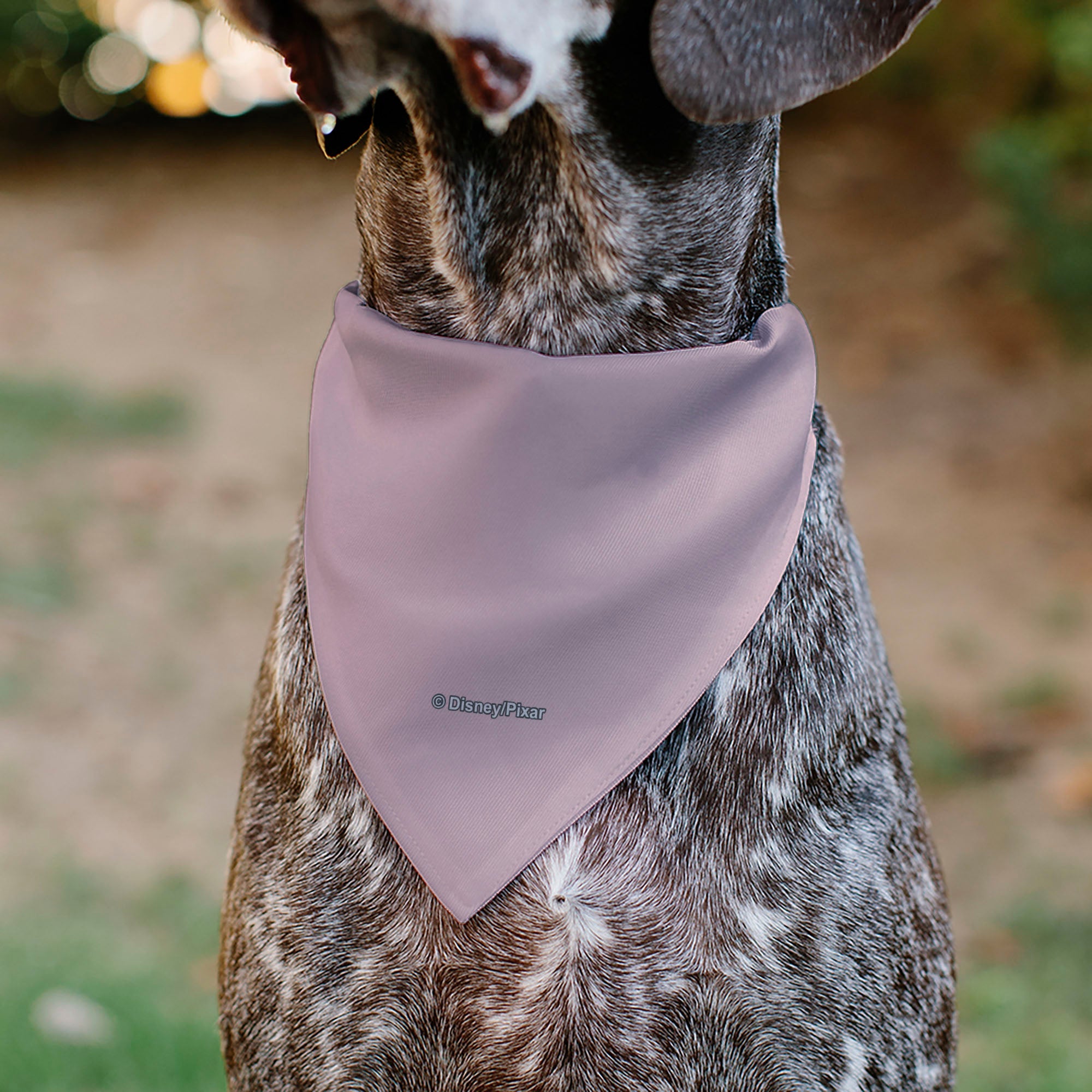 Buckle-Down Toy Story Jessie Heck Yes! Pose Pinks Over-the-Collar Dog Bandana