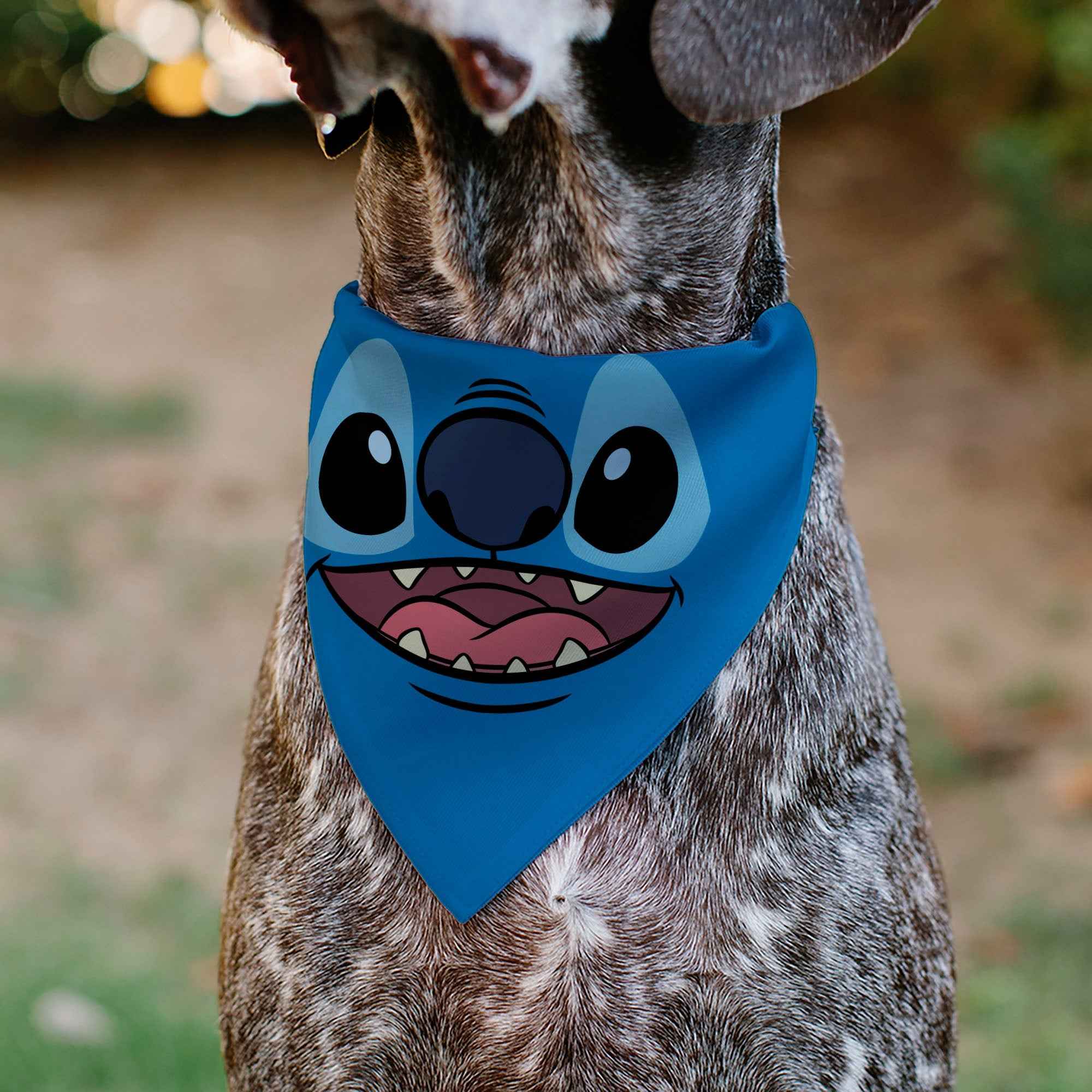 Buckle-Down Stitch Smiling Face Character Close-Up Blues Over-the-Collar Dog Bandana