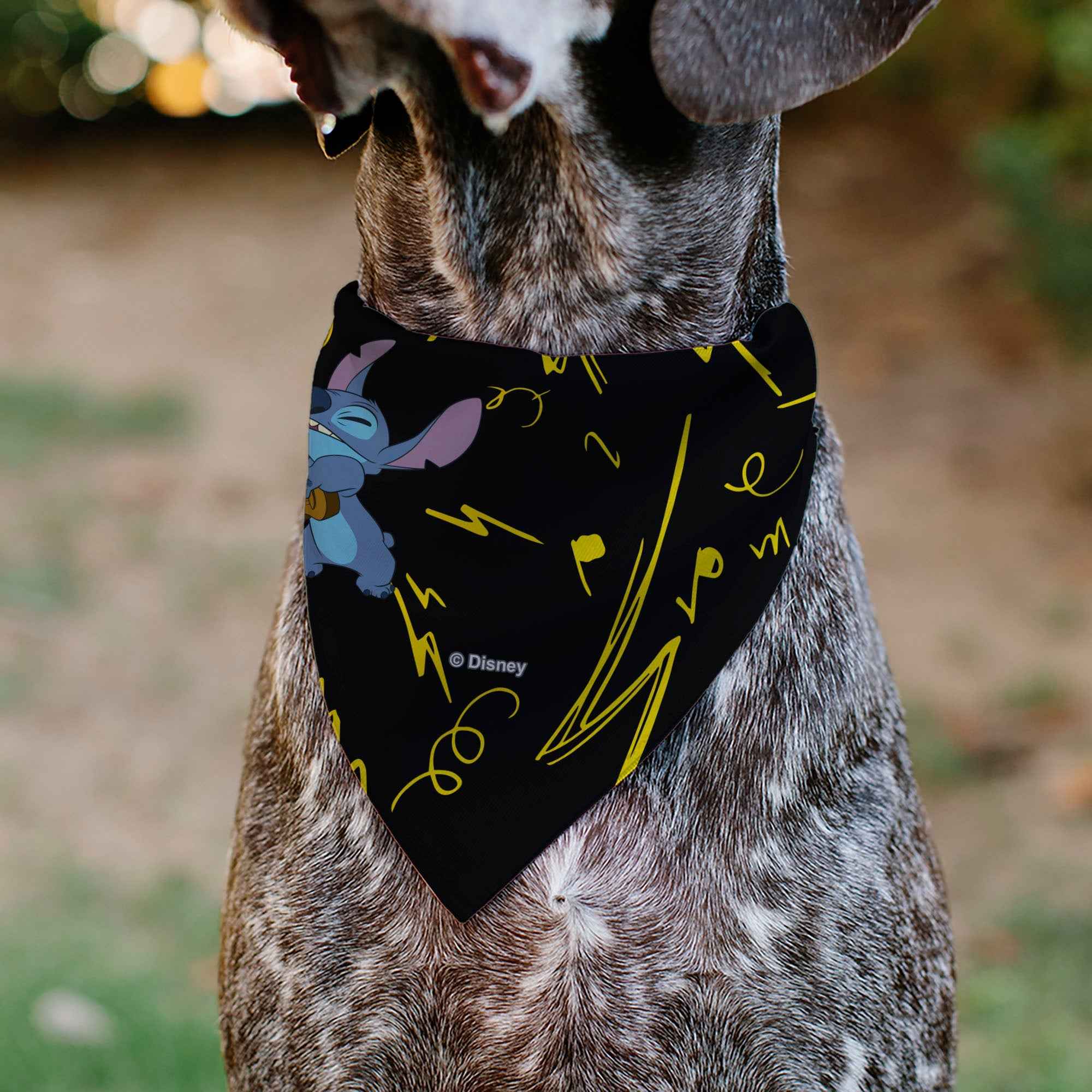Buckle-Down Stitch and Scrump Ukulele Jam Pose Black/Yellow Over-the-Collar Dog Bandana