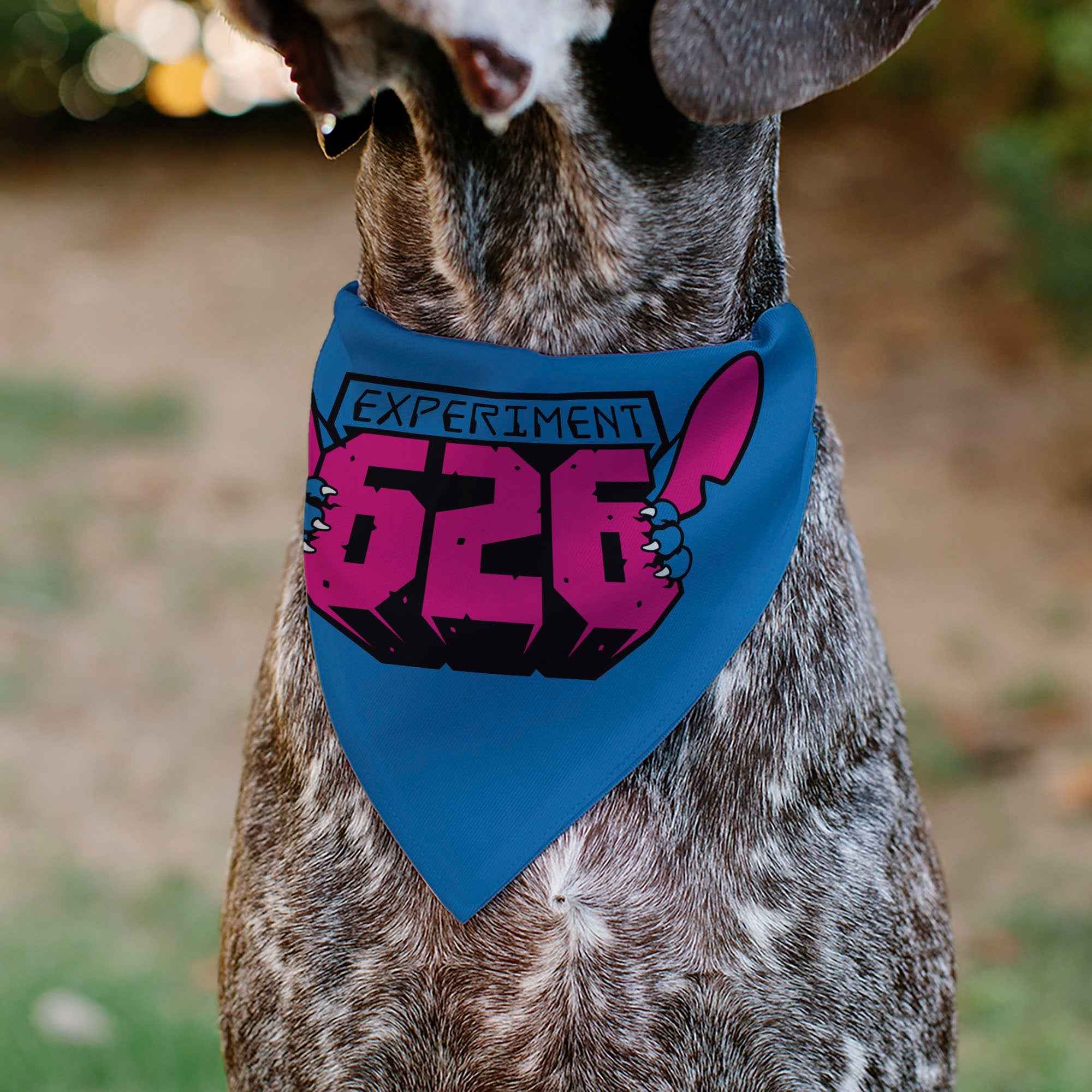 Buckle-Down Stitch Experiment 626 Logo Blue/Pink Over-the-Collar Dog Bandana