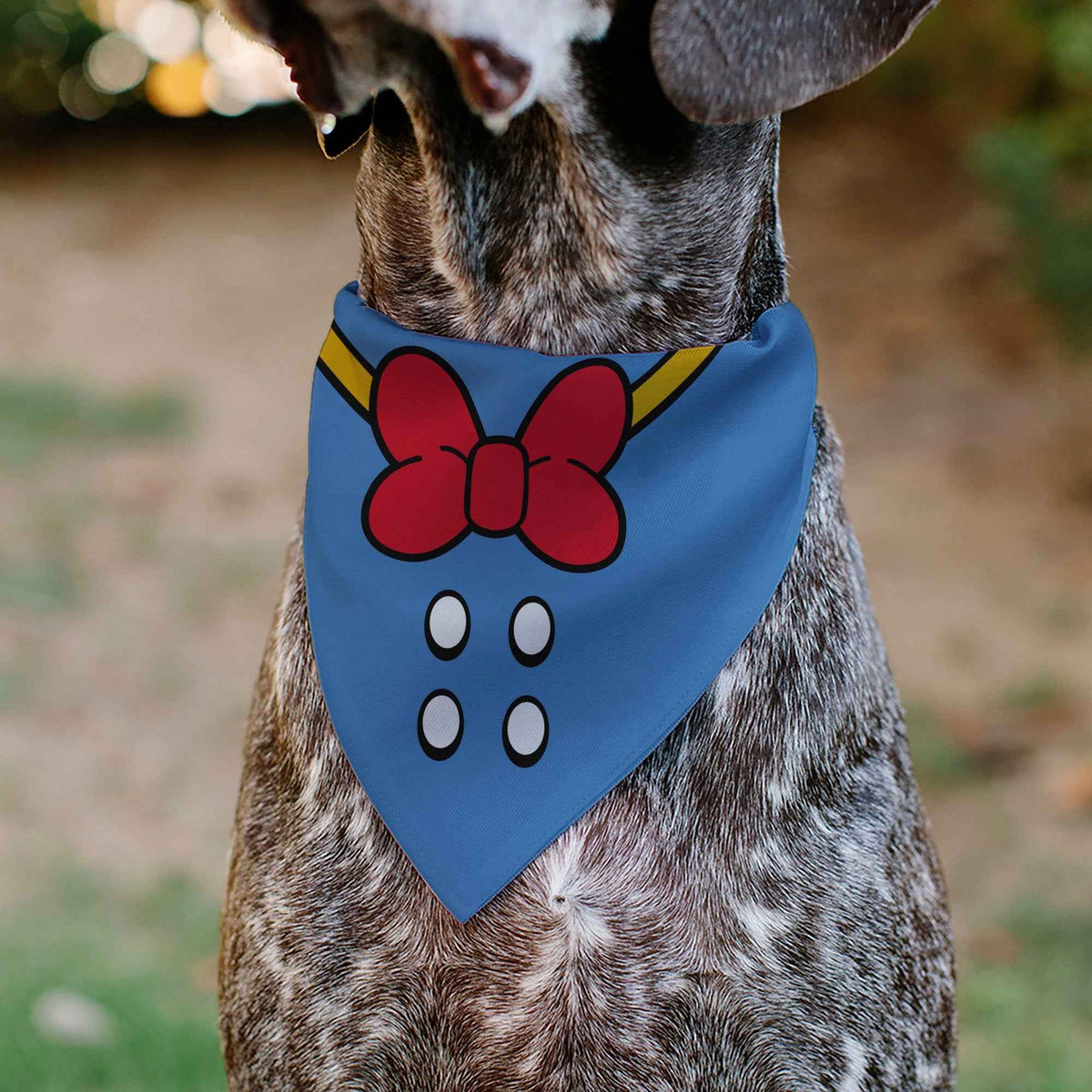 Pet Bandana - Donald Duck Sailor Suit Chest