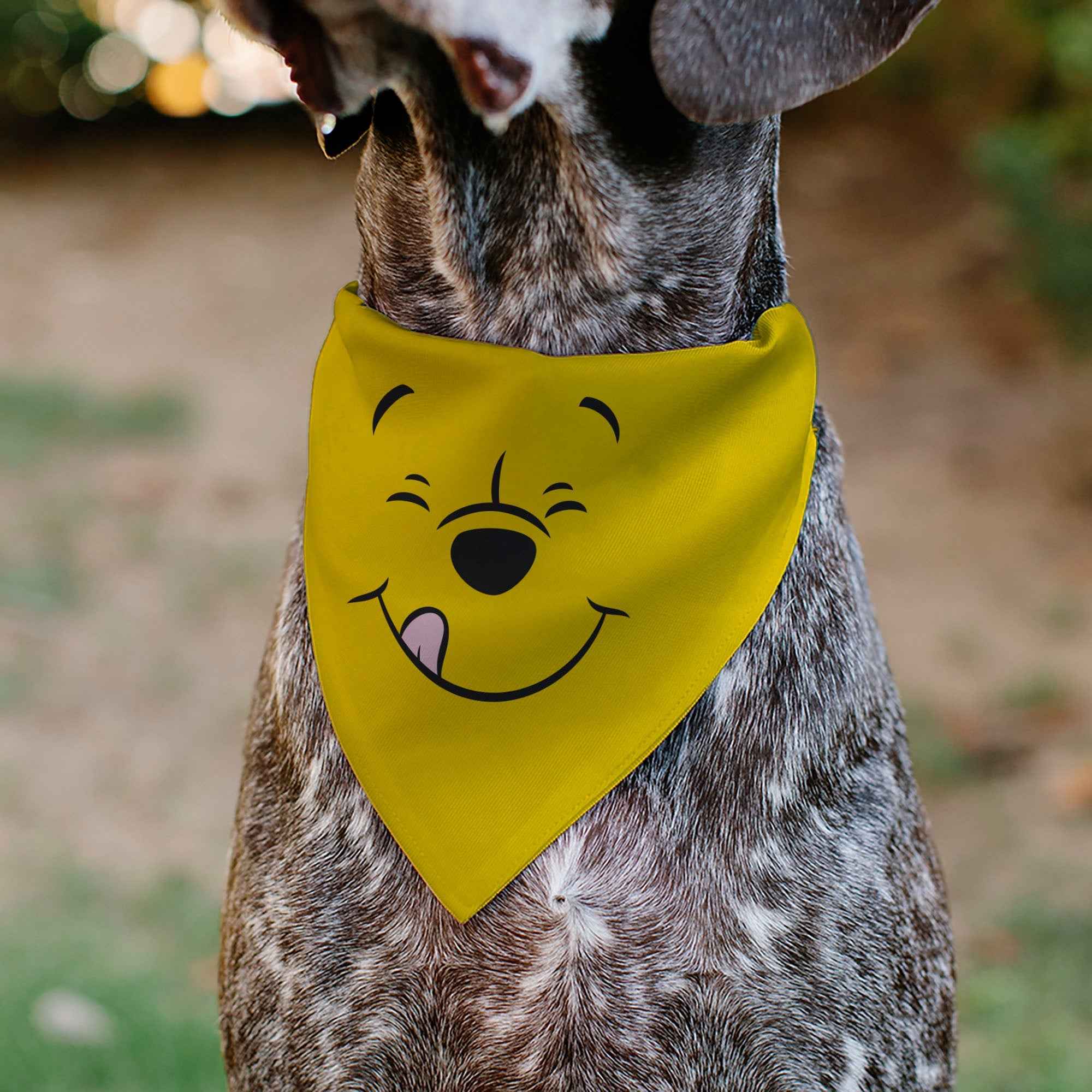 Buckle-Down Winnie the Pooh Winking Smiling Face Golden Yellow Over-the-Collar Dog Bandana