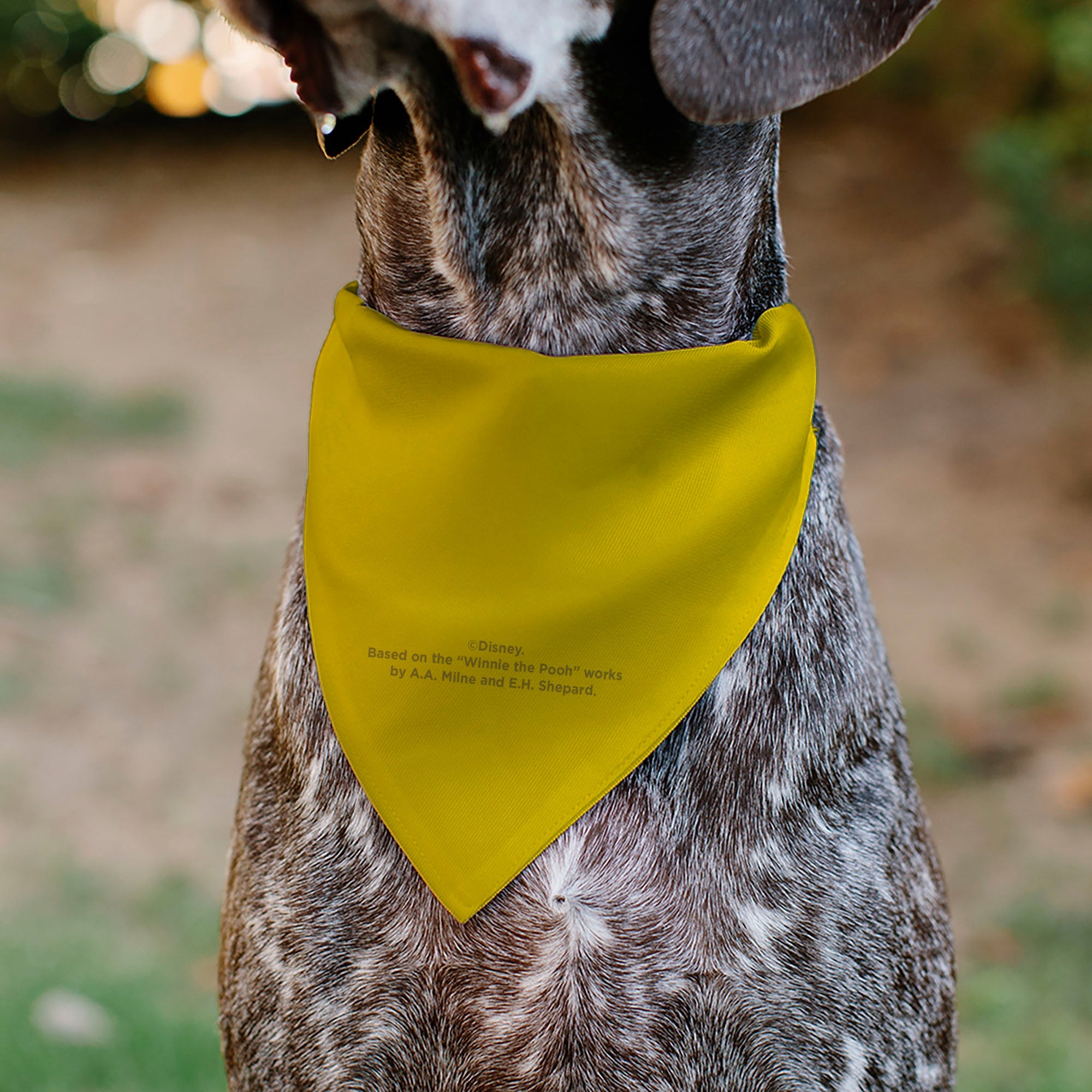 Buckle-Down Winnie the Pooh Winking Smiling Face Golden Yellow Over-the-Collar Dog Bandana