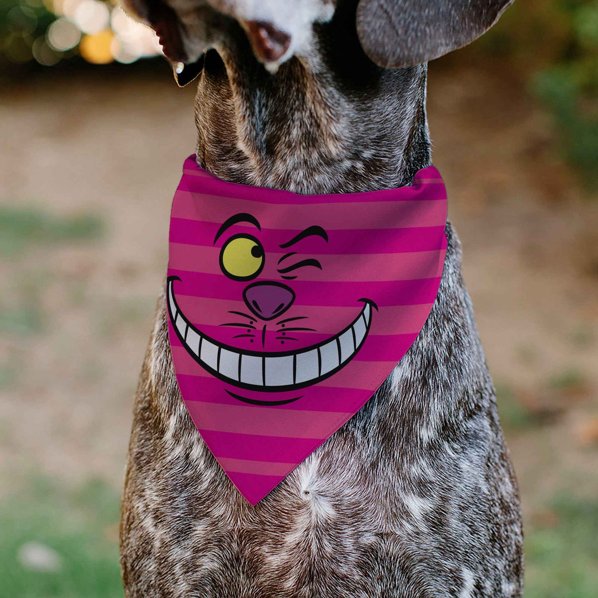 Pet Bandana - Alice in Wonderland Cheshire Cat Winking Smile Pinks