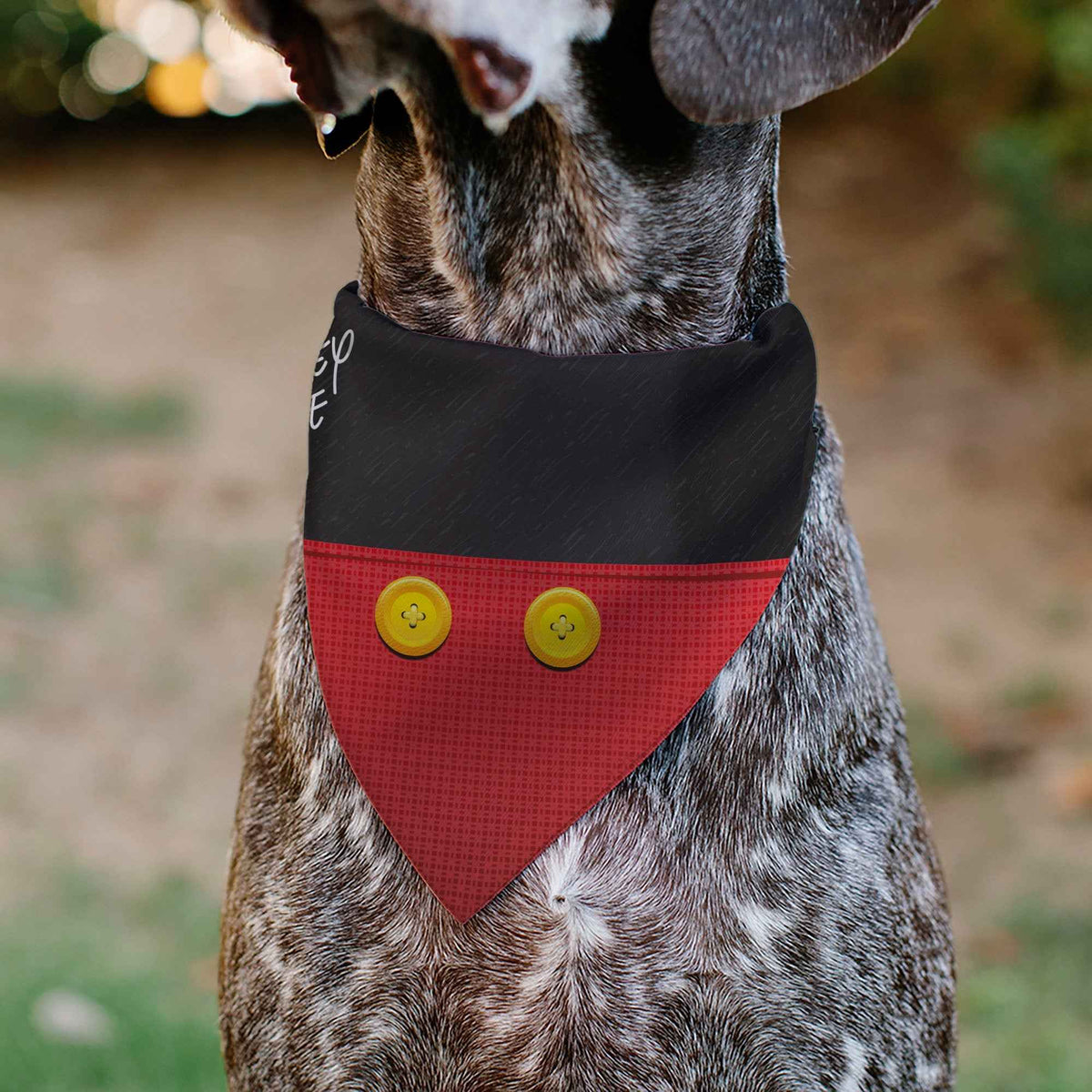 Pet Bandana - Mickey Mouse Buttons Black/Red