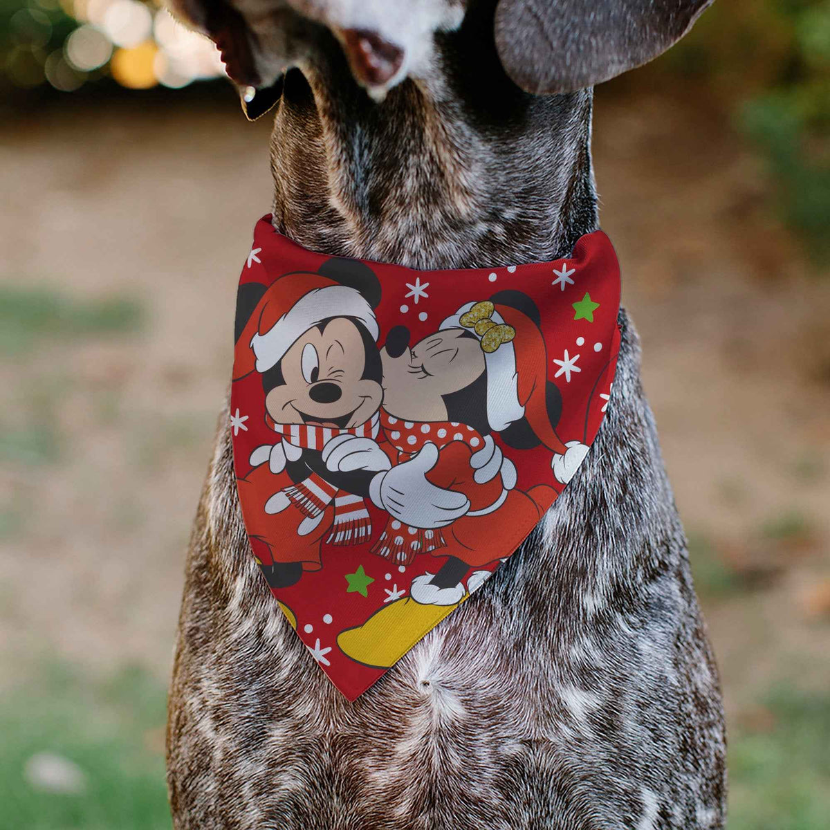 Pet Bandana - Holiday Mickey and Minnie Santa Hat Kissing Pose Red