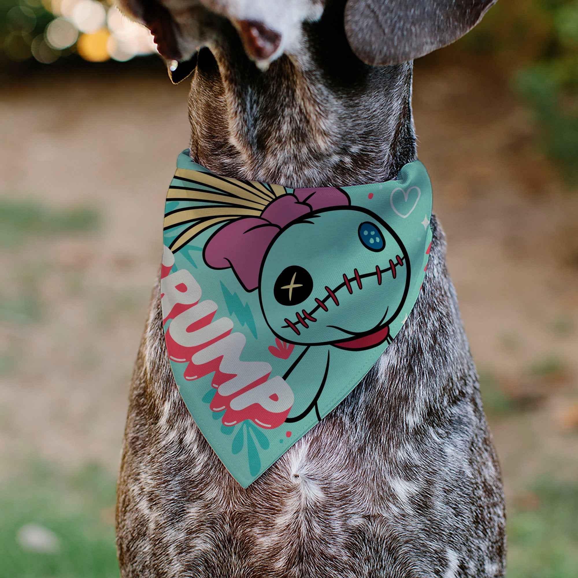 Buckle-Down Scrump Text and Pose Light Blue Over-the-Collar Dog Bandana