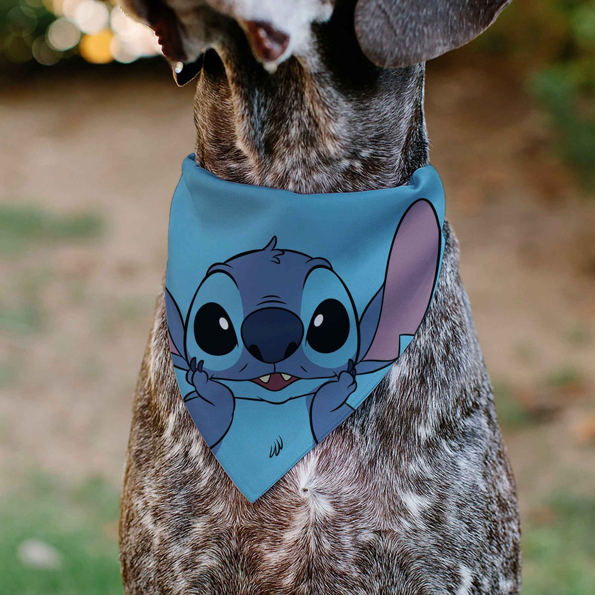 Pet Bandana - Stitch Grinning Pose Blue
