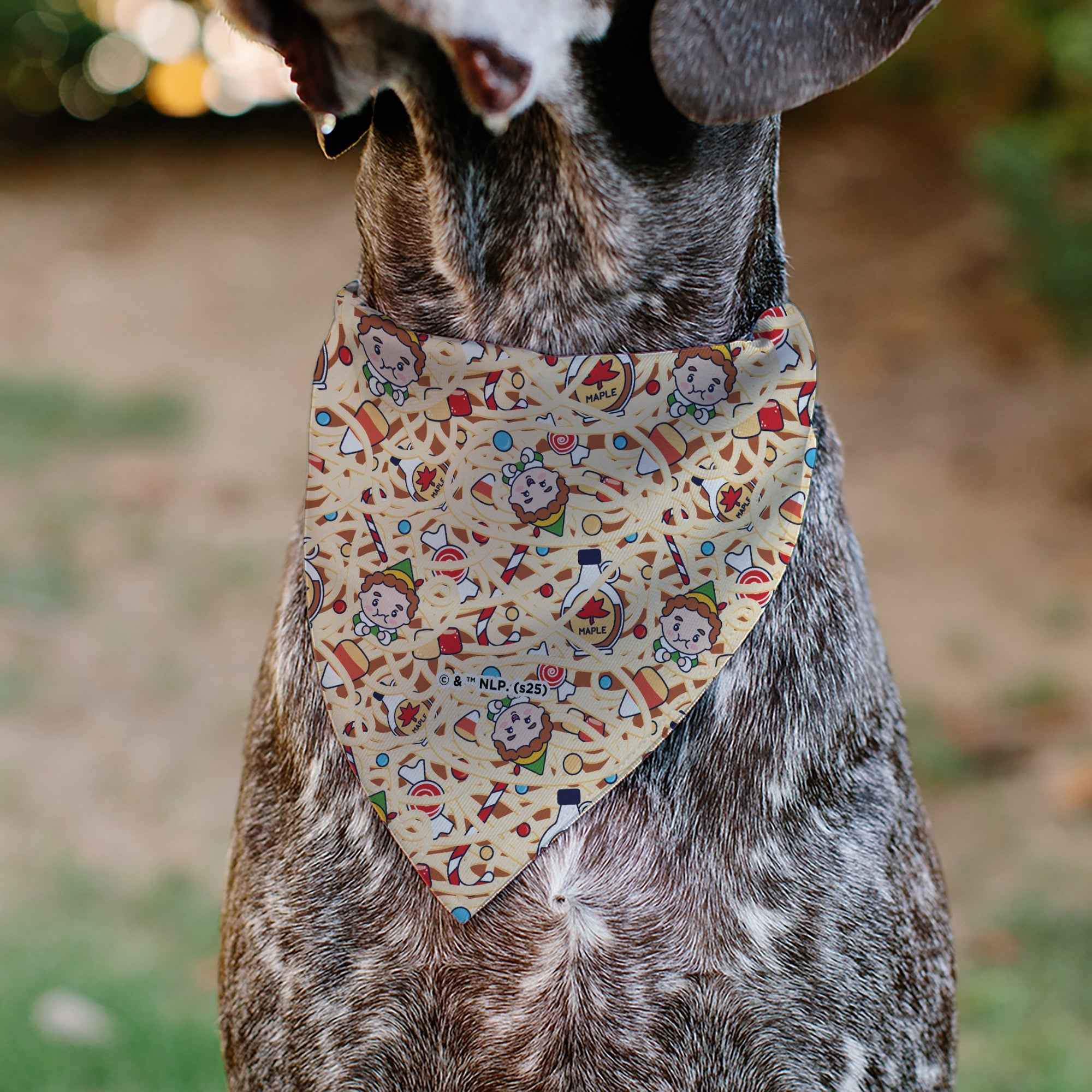 Buckle-Down Elf Treat Everyday Like Christmas Buddy and Friends Pose Blue Over-the-Collar Dog Bandana