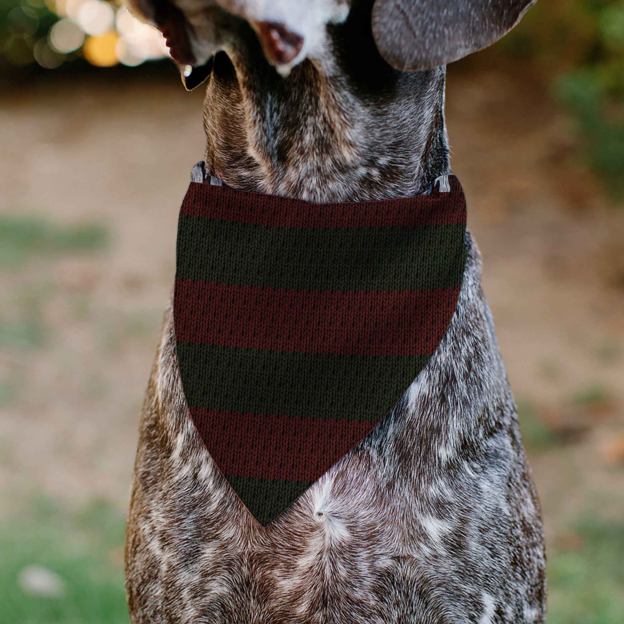 Buckle-Down A Nightmare on Elm Street Freddy Melted Black/White/Red Over-the-Collar Dog Bandana
