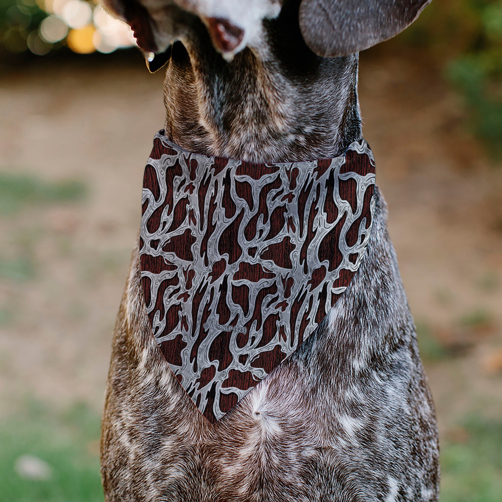 Buckle-Down A Nightmare on Elm Street Freddy Melted Black/White/Red Over-the-Collar Dog Bandana