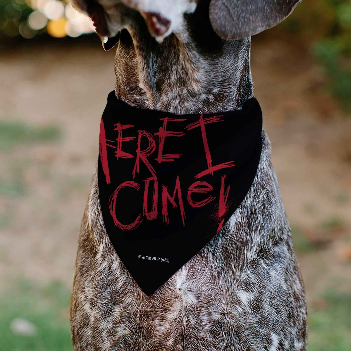 Pet Bandana - A Nightmare on Elm Street Freddy READY OR NOT HERE I COME Pose Black/Red