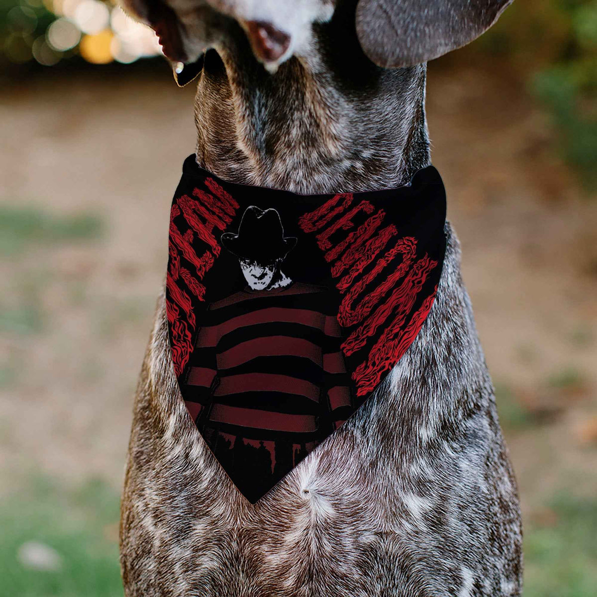 Pet Bandana - A Nightmare on Elm Street Freddy DREAM DEMON Pose Black/Red
